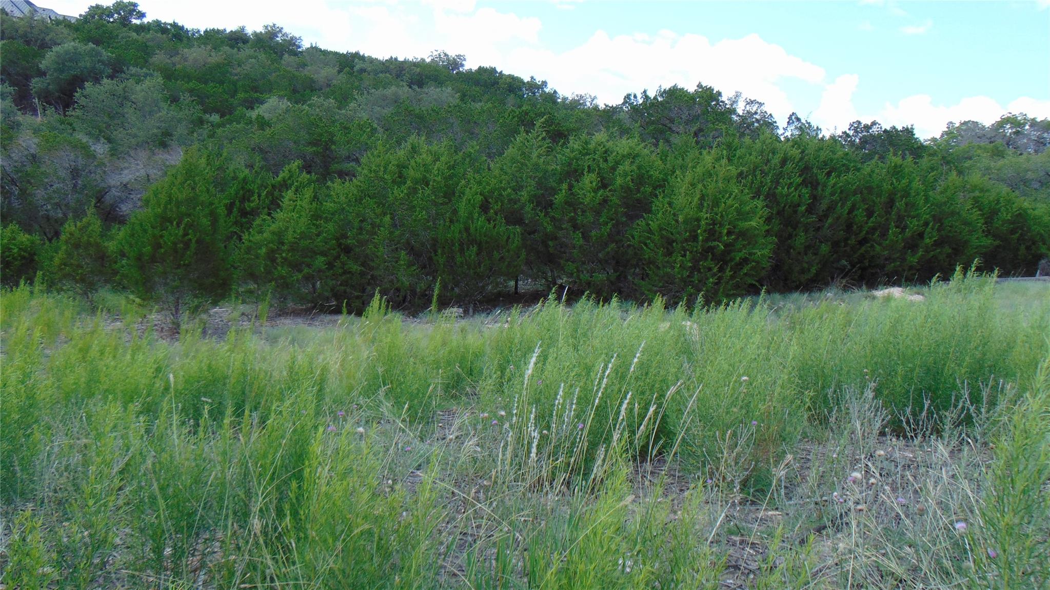 18512 Sugar Maple Dr, Lago Vista, TX 78645