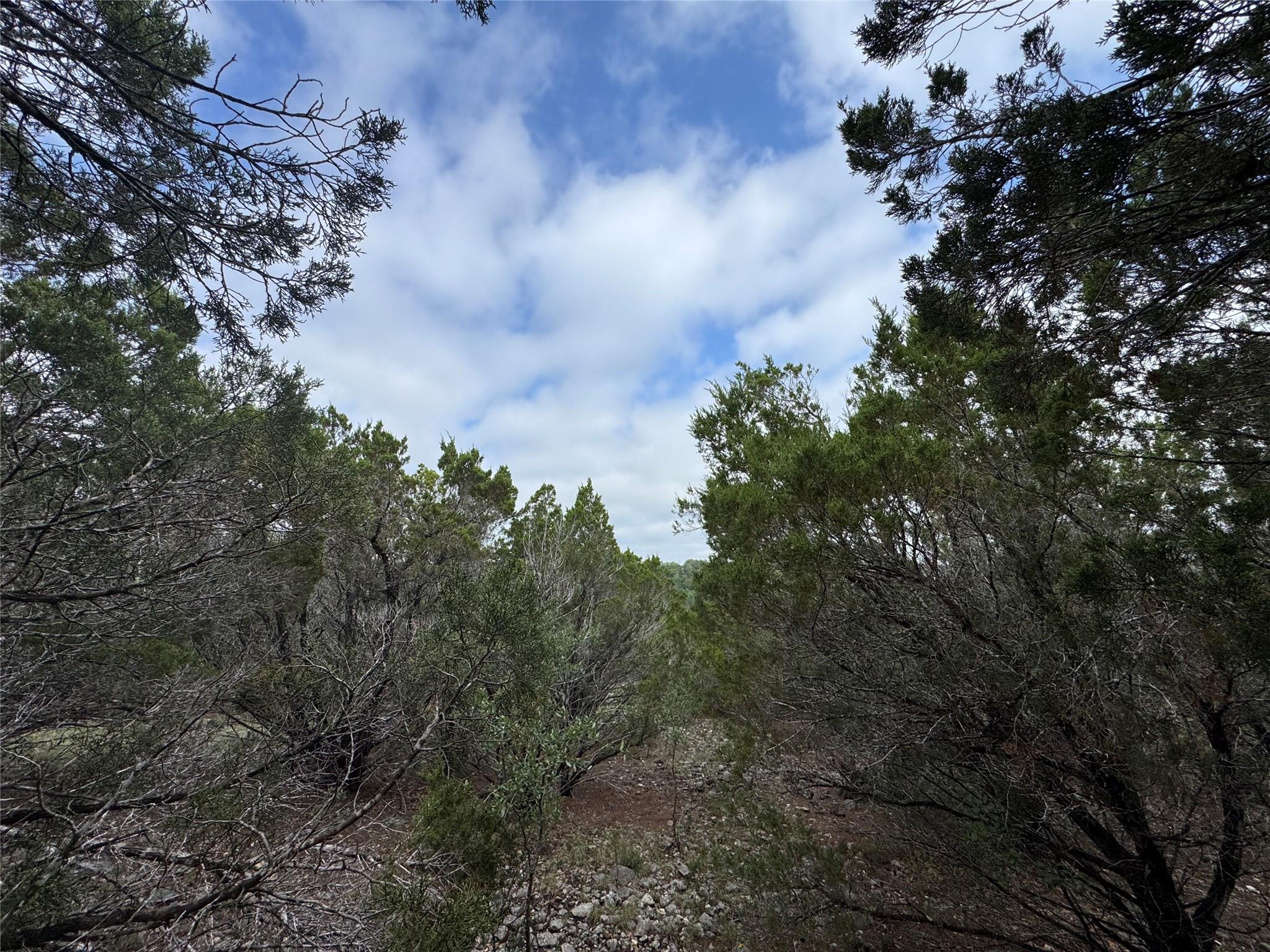 8402 Angus Trl, Lago Vista, TX 78645
