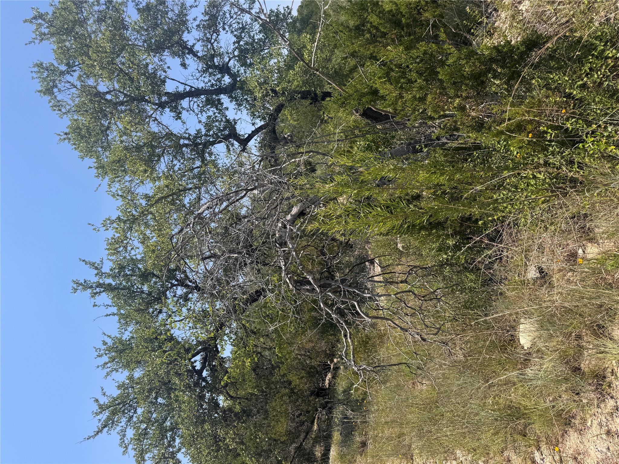 2508 Geronimo Trl, Austin, TX 78734