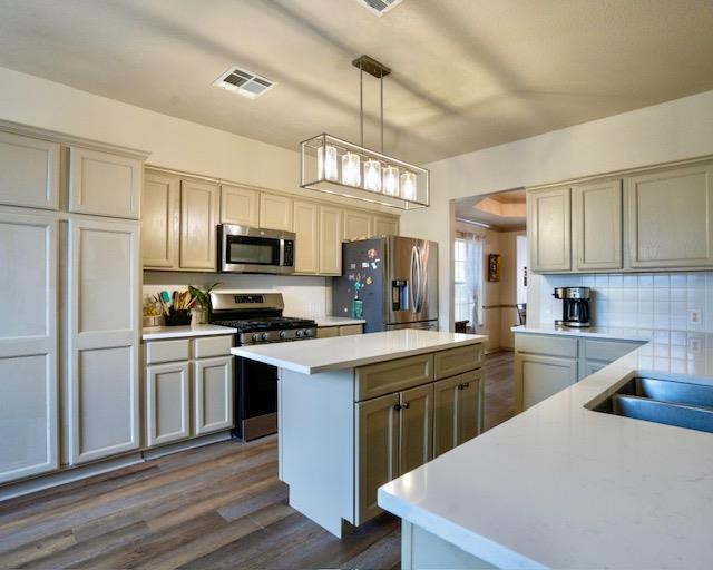 1406 Apache Cv, Pflugerville, TX 78660