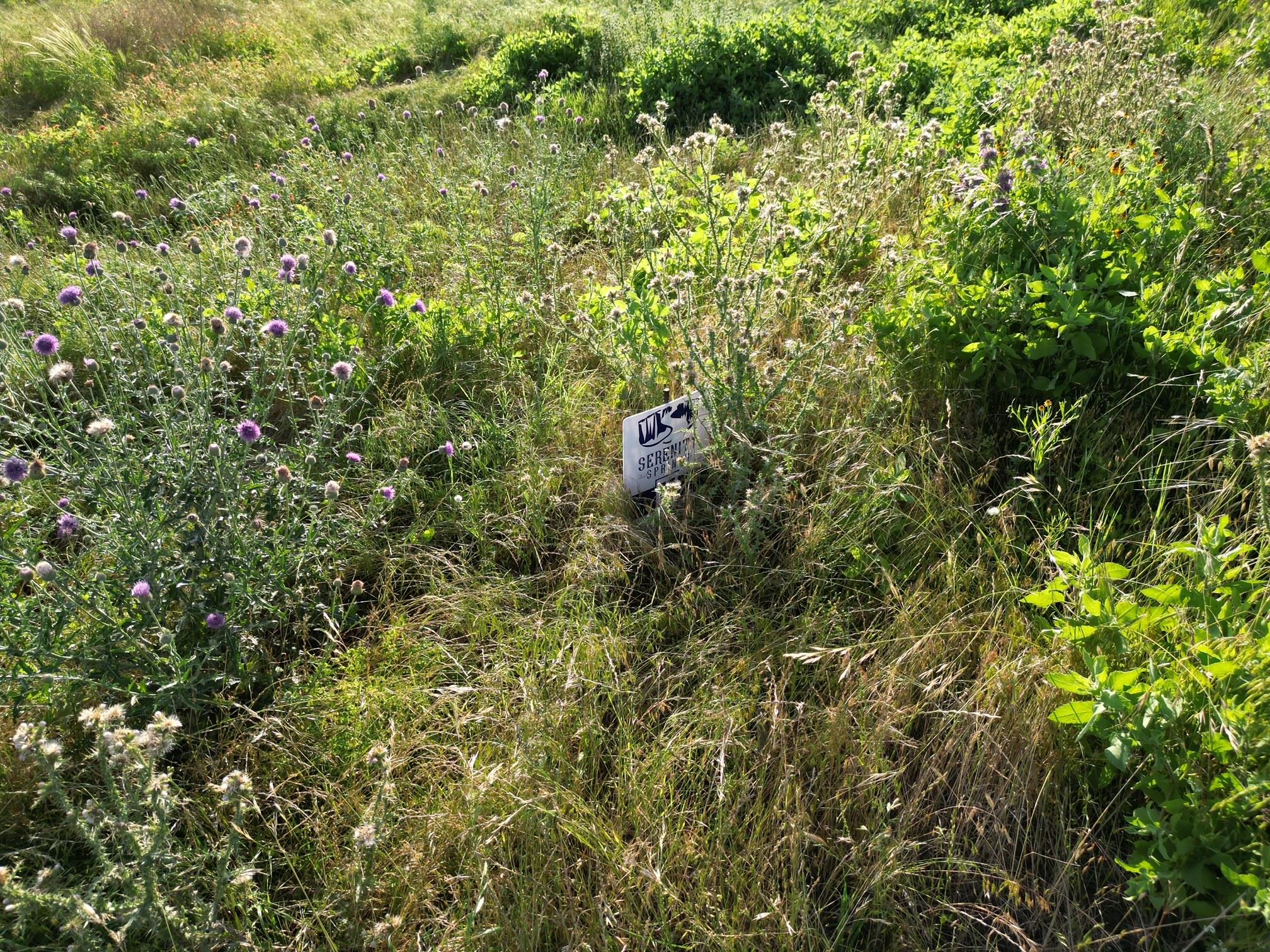 Lot 37 Serenity Dr, Bertram, TX 78605