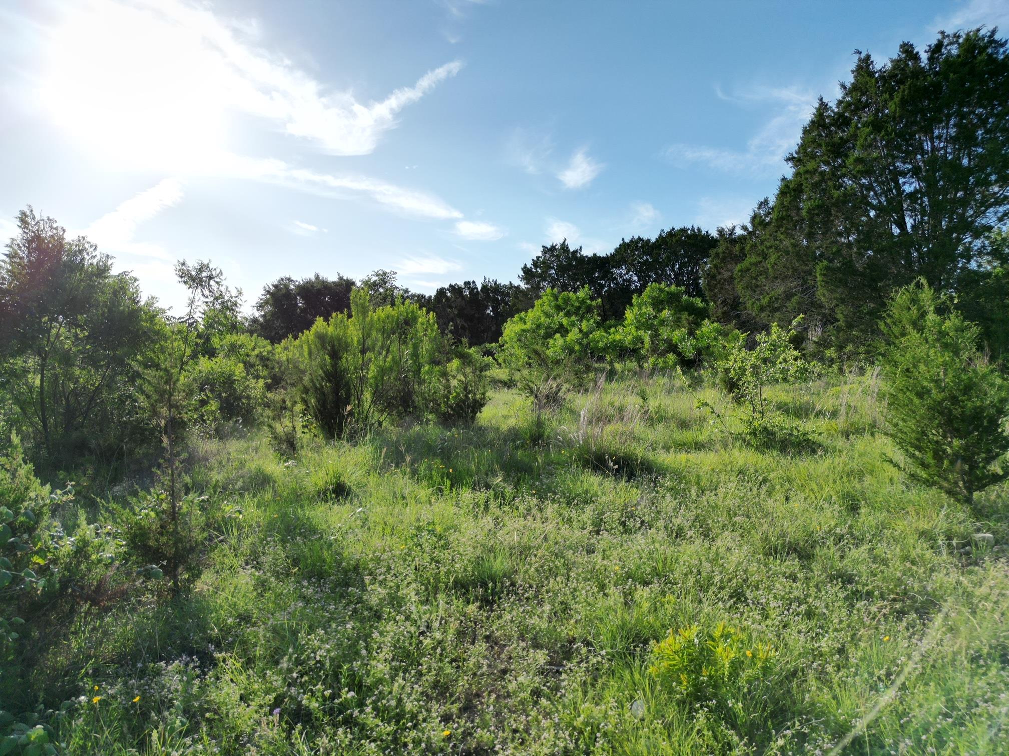 Lot 46 Serenity Dr, Bertram, TX 78605
