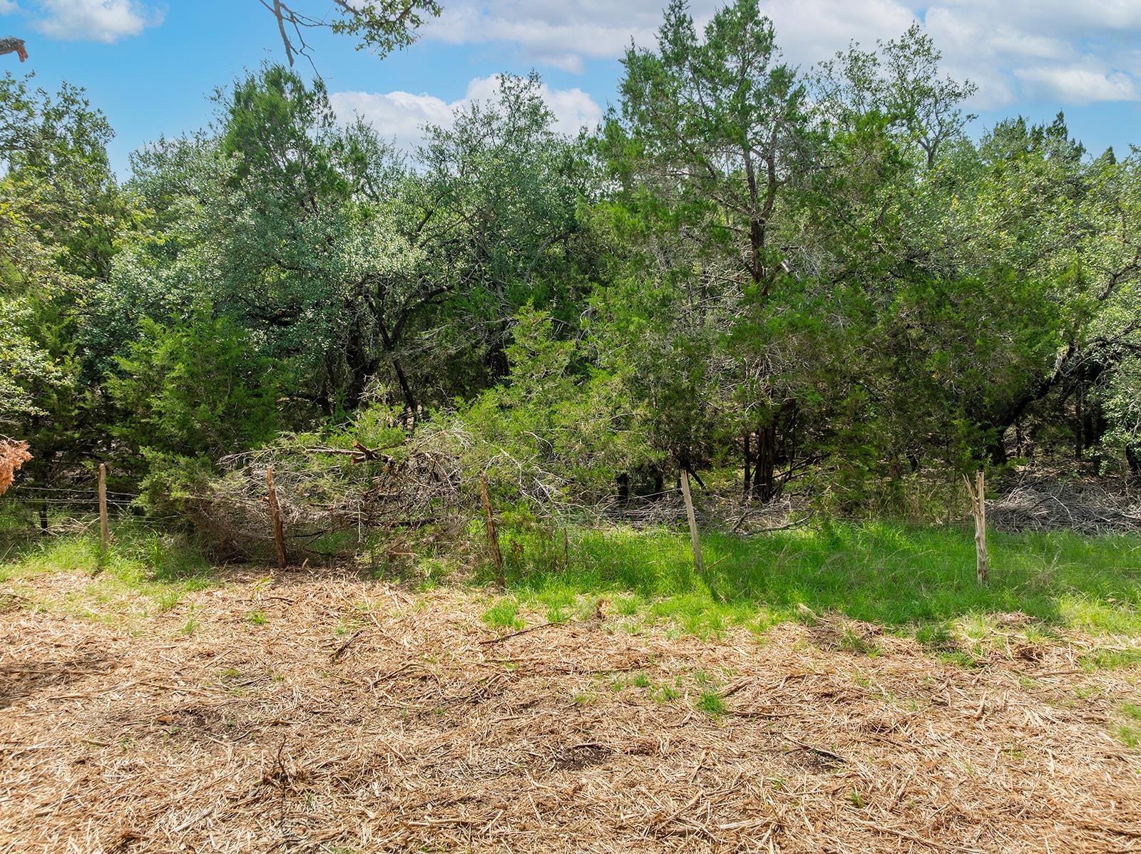 120 E Rustle Cv, Georgetown, TX 78628