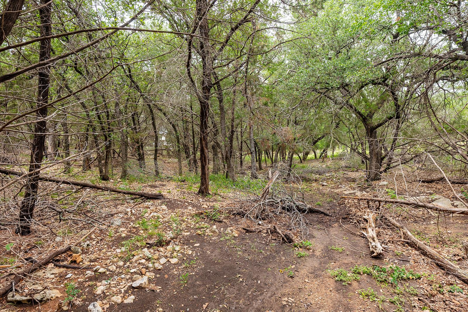 120 E Rustle Cv, Georgetown, TX 78628