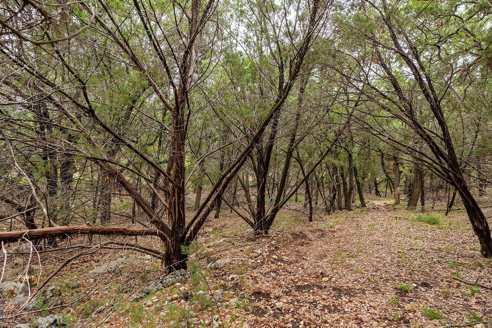 120 E Rustle Cv, Georgetown, TX 78628