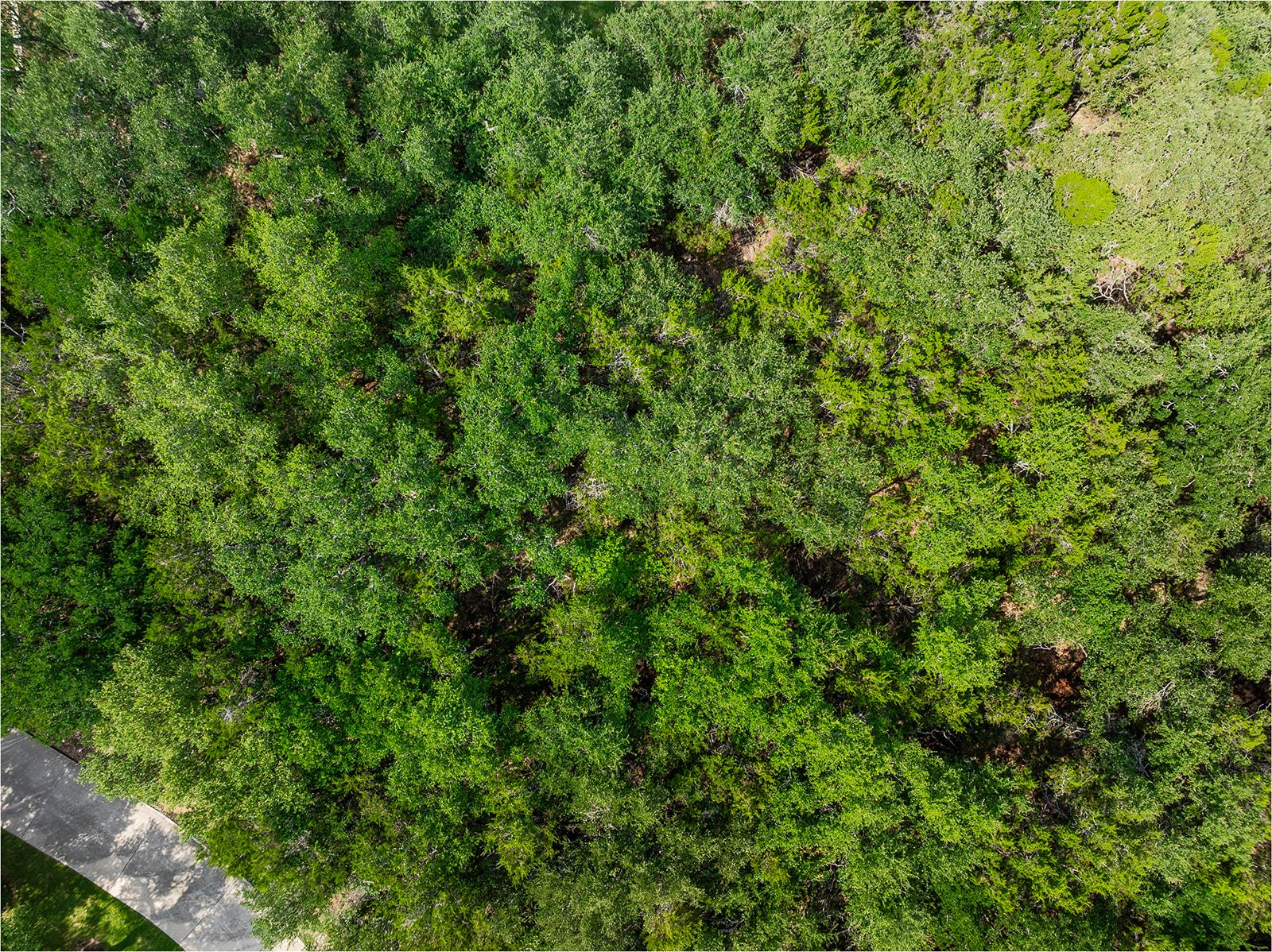 120 E Rustle Cv, Georgetown, TX 78628