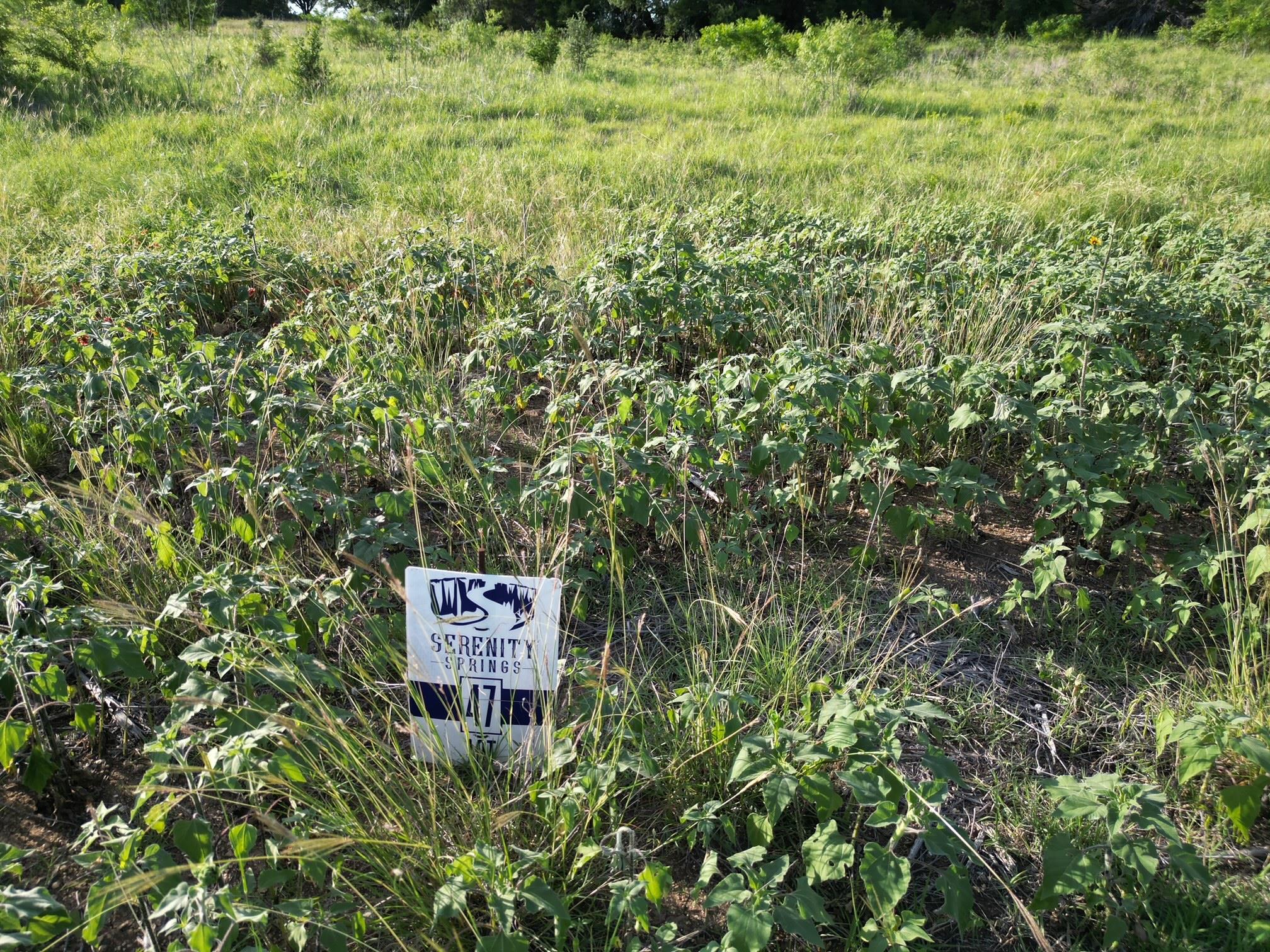 Lot 47 Serenity Dr, Bertram, TX 78605