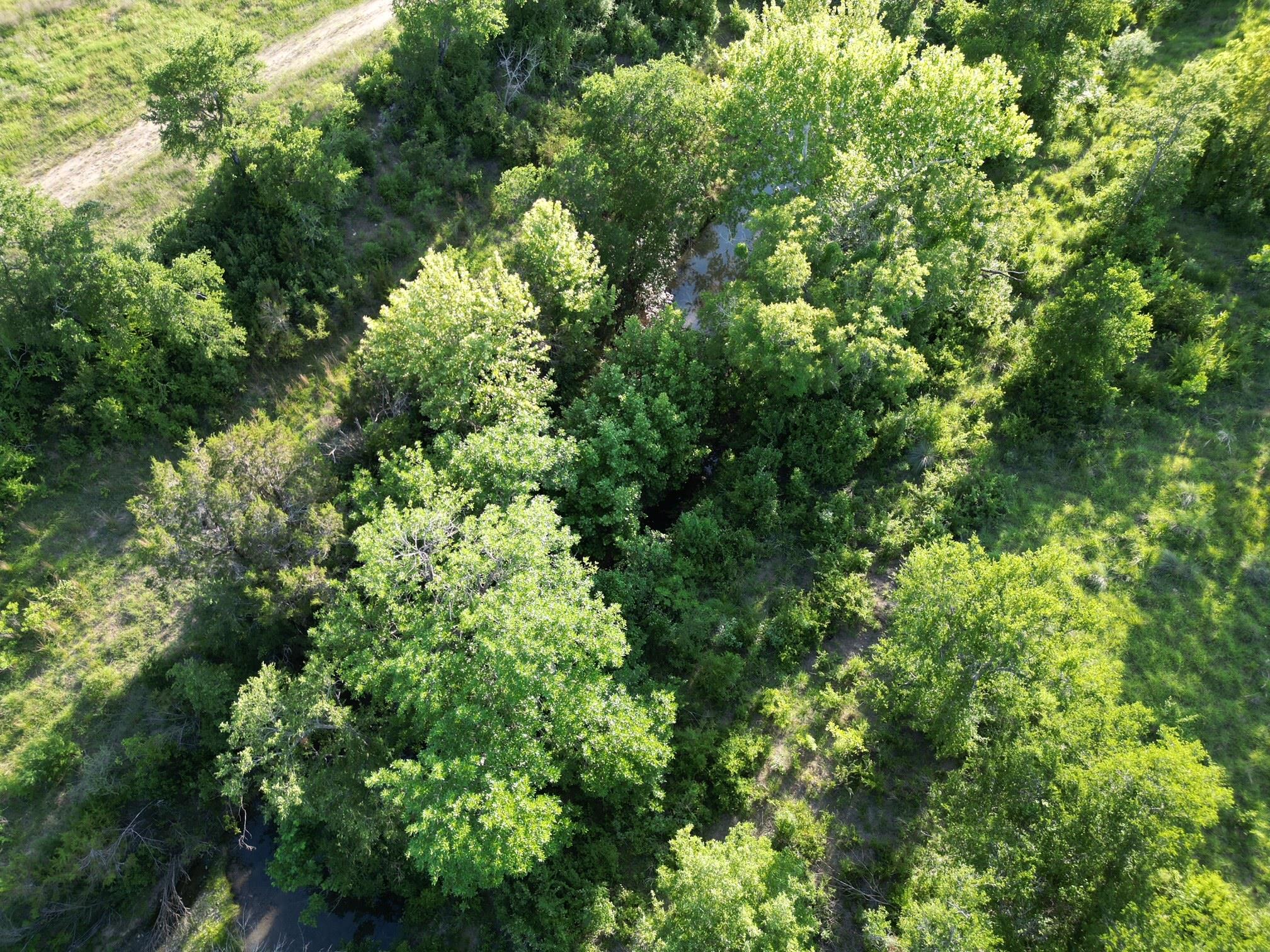 Lot 52 Marvin Ln, Bertram, TX 78605