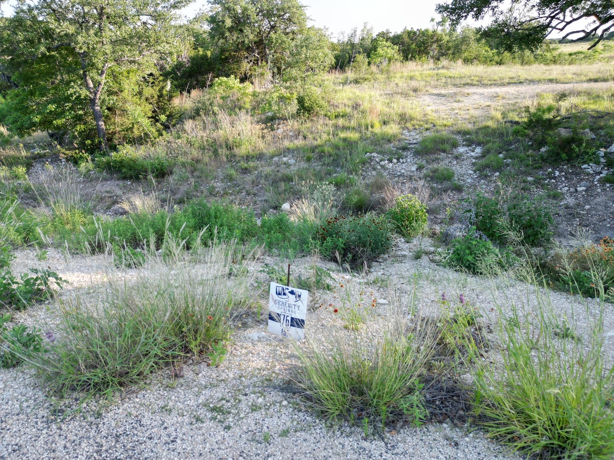Lot 76 Serenity Dr, Bertram, TX 78605
