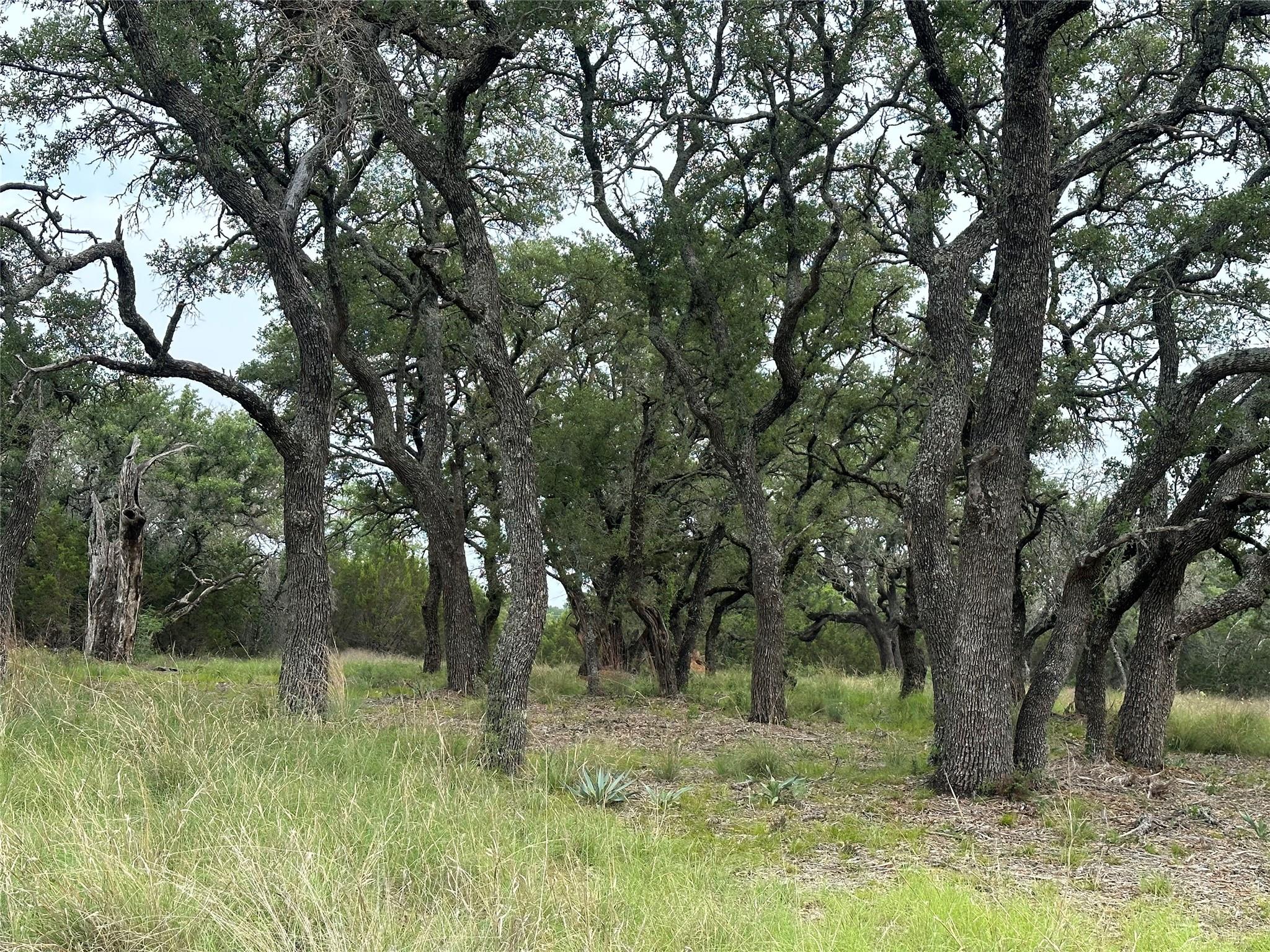 144 S Live Oak Dr, Goldthwaite, TX 76844
