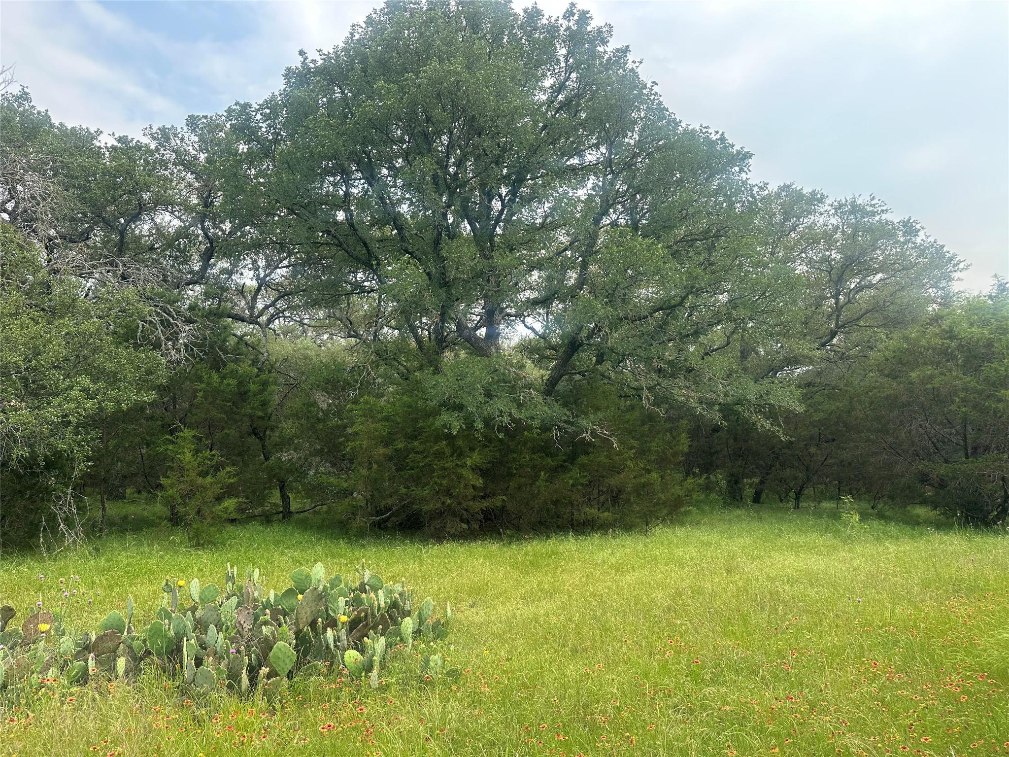 144 S Live Oak Dr, Goldthwaite, TX 76844