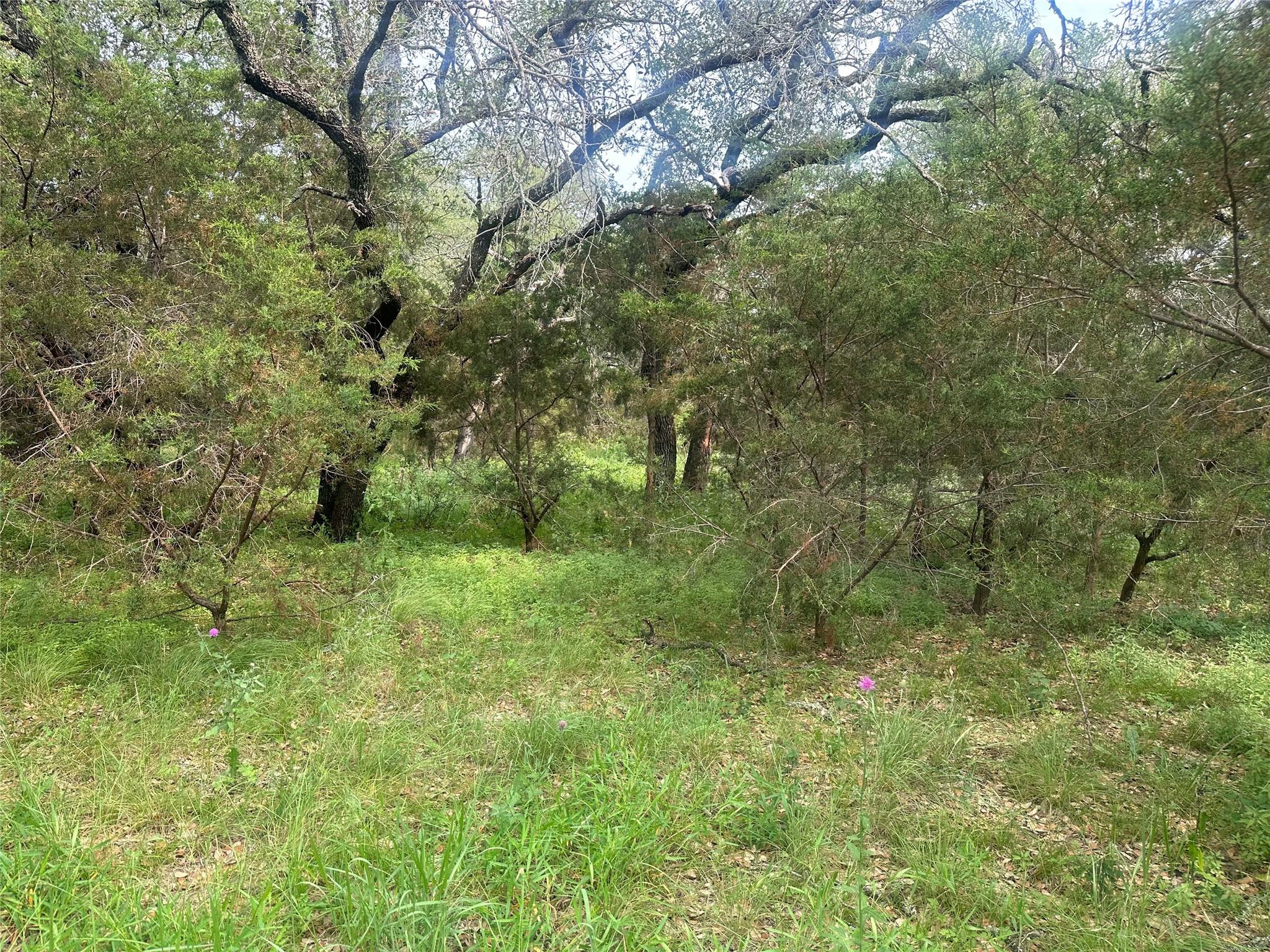 144 S Live Oak Dr, Goldthwaite, TX 76844