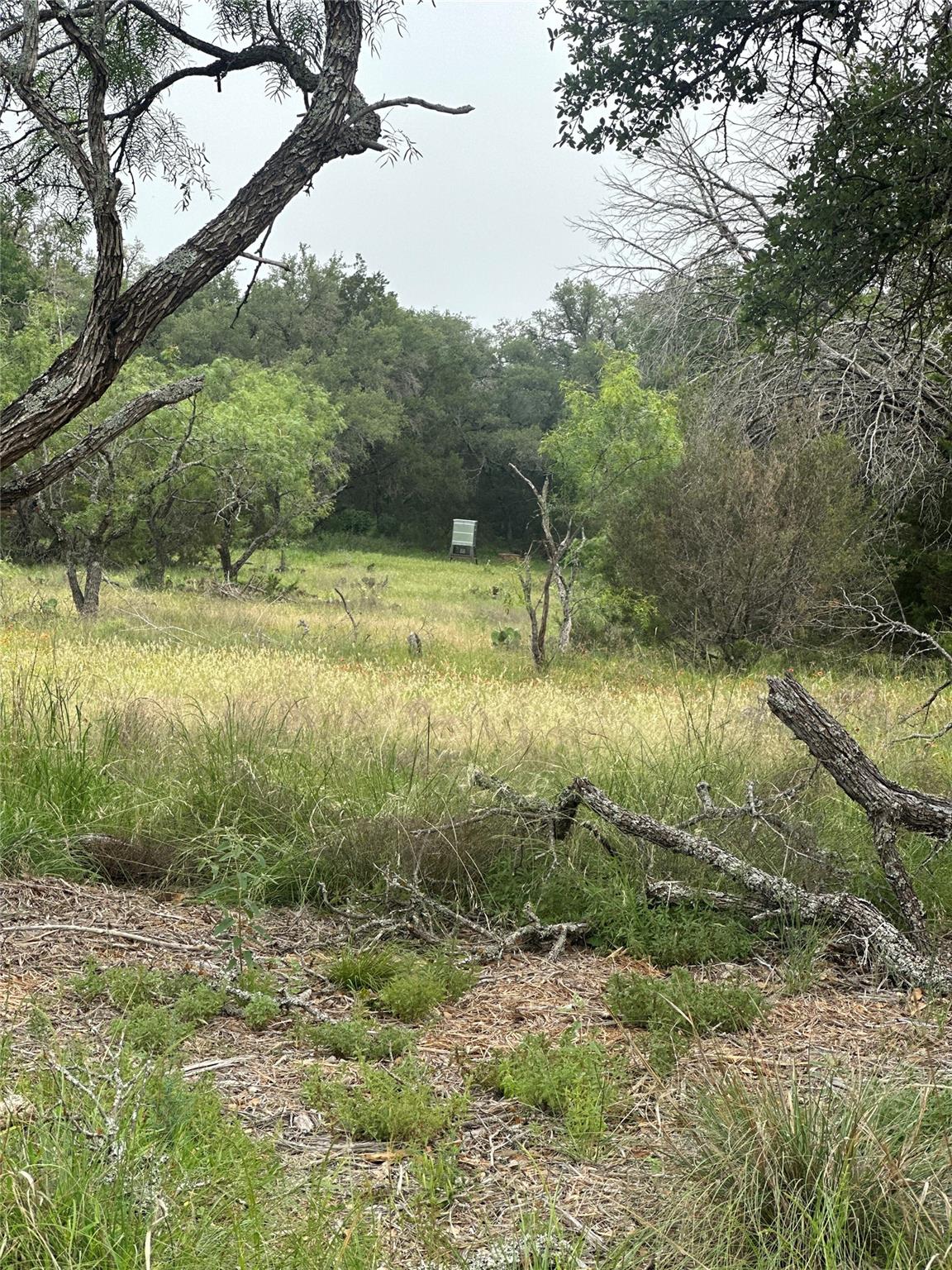 144 S Live Oak Dr, Goldthwaite, TX 76844