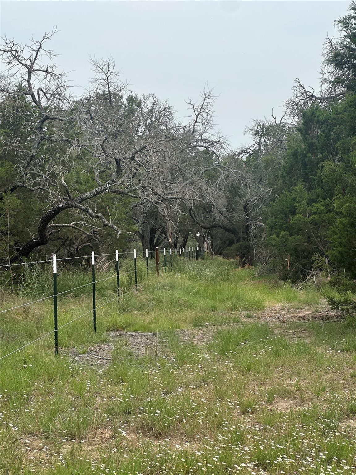 144 S Live Oak Dr, Goldthwaite, TX 76844