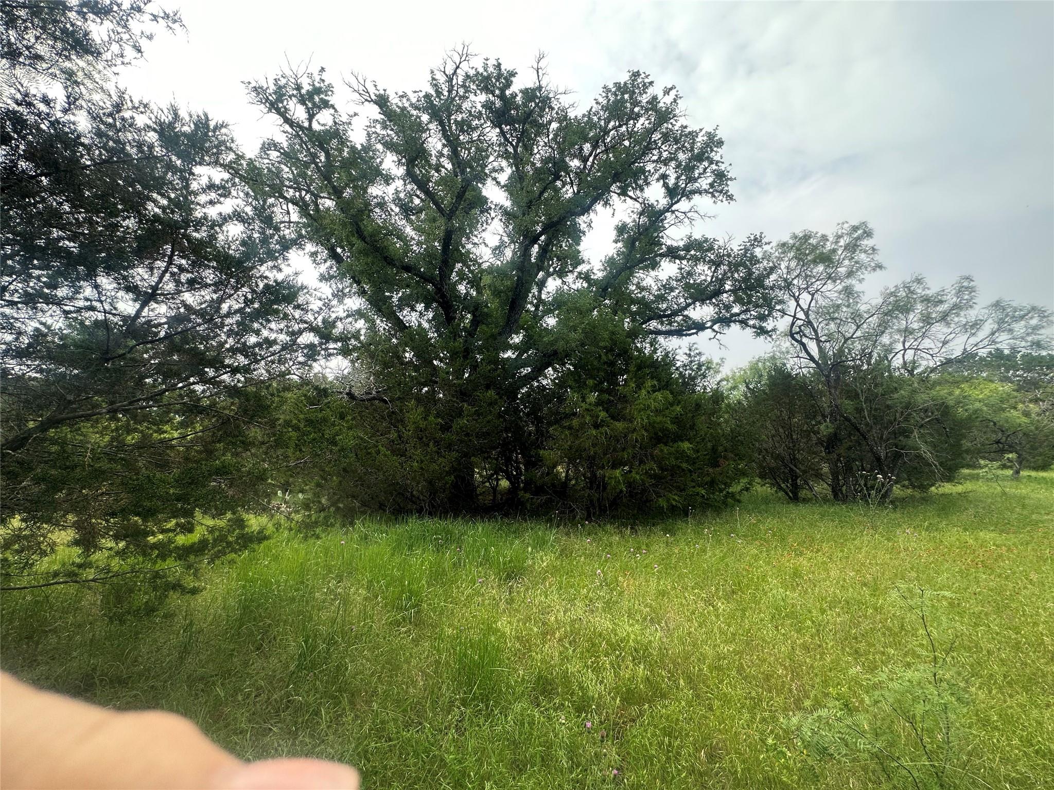 144 S Live Oak Dr, Goldthwaite, TX 76844