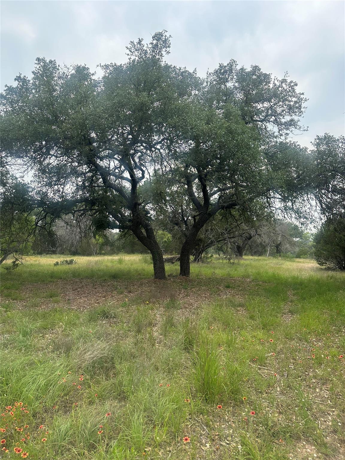 144 S Live Oak Dr, Goldthwaite, TX 76844