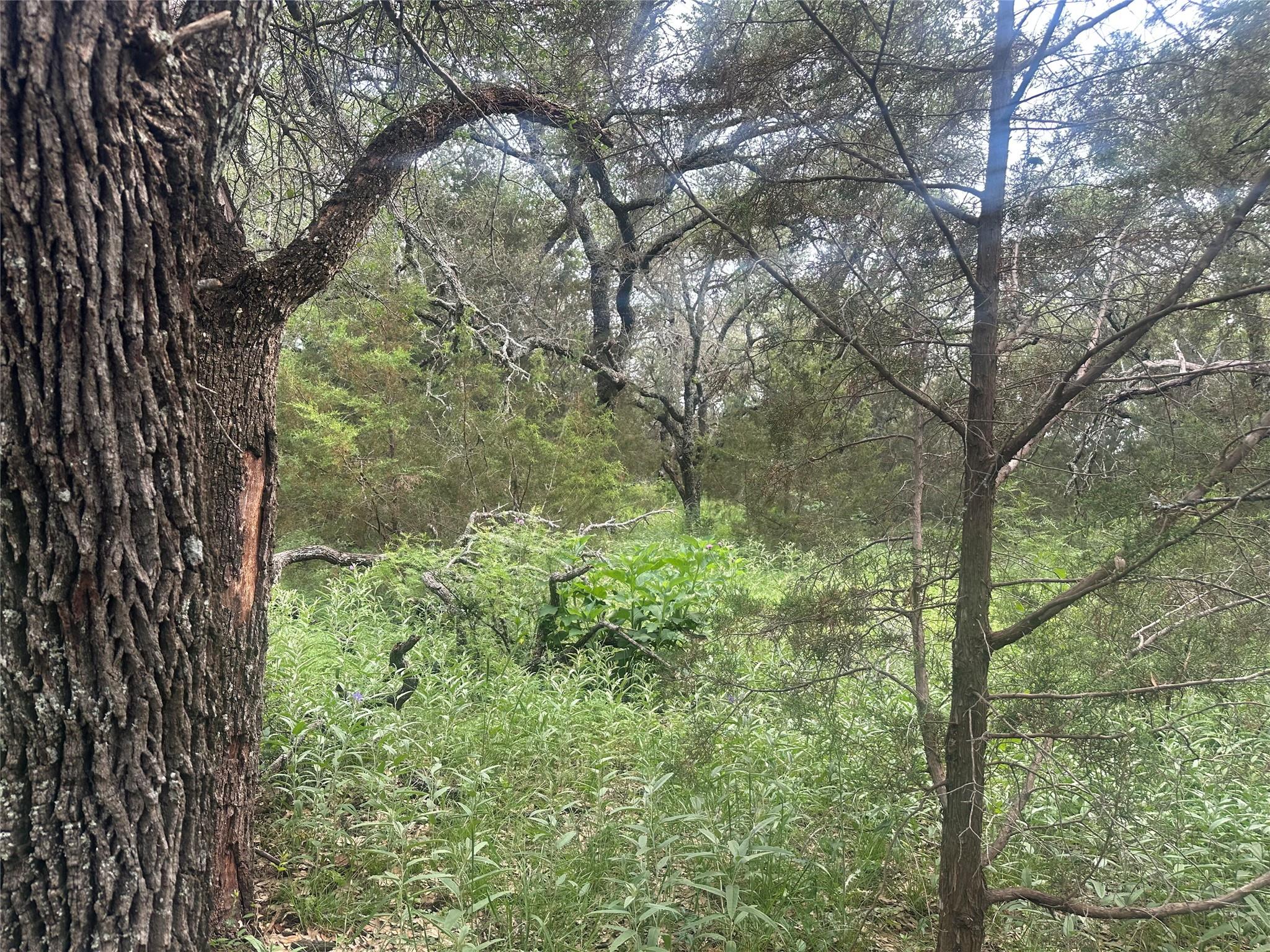 144 S Live Oak Dr, Goldthwaite, TX 76844