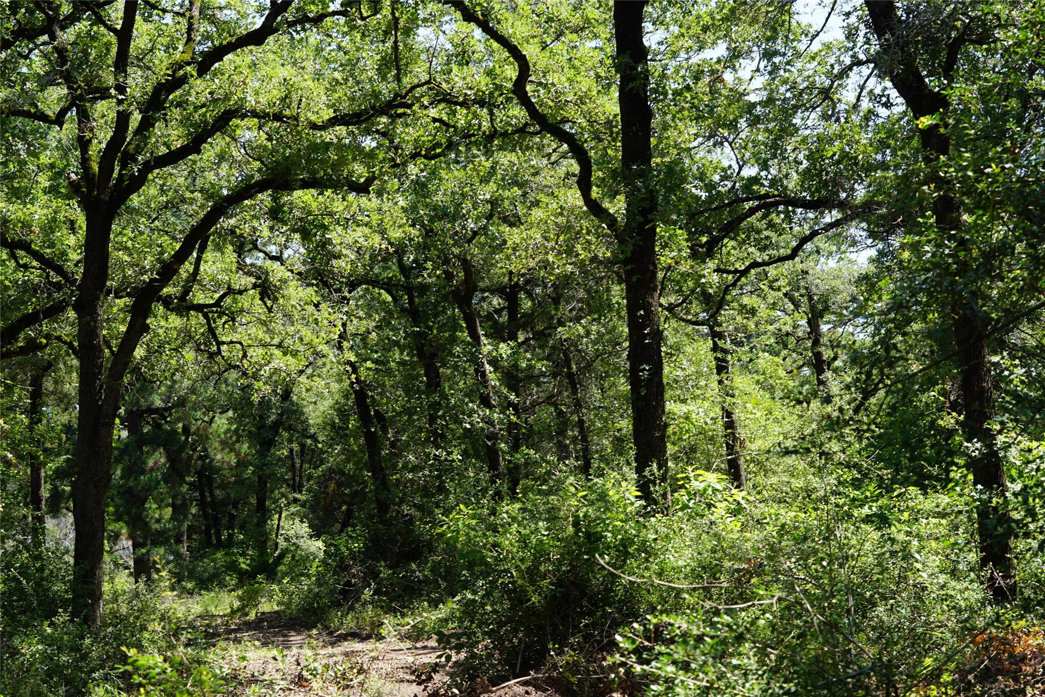 5548 CR 322, Rockdale, TX 76567