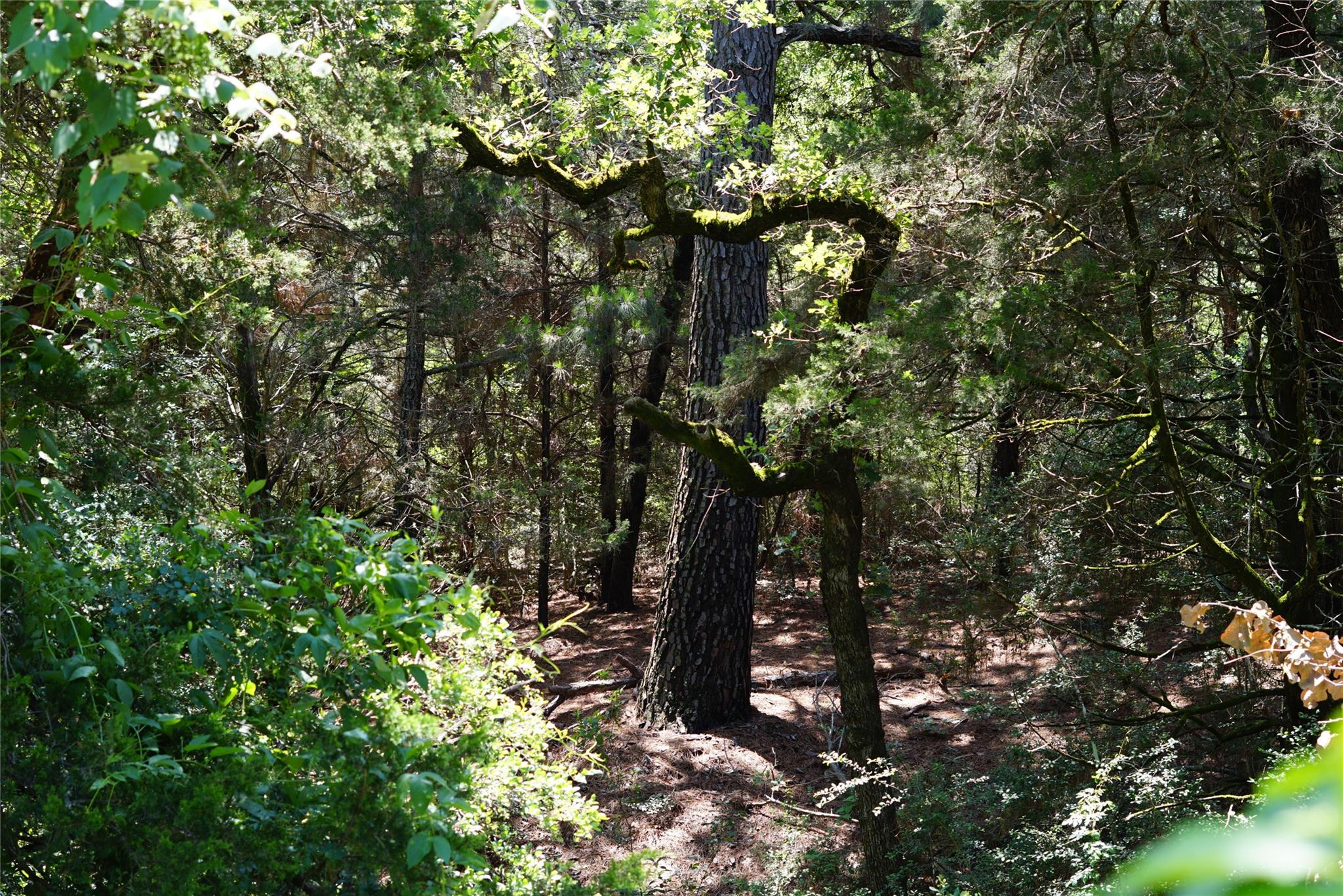 5548 CR 322, Rockdale, TX 76567