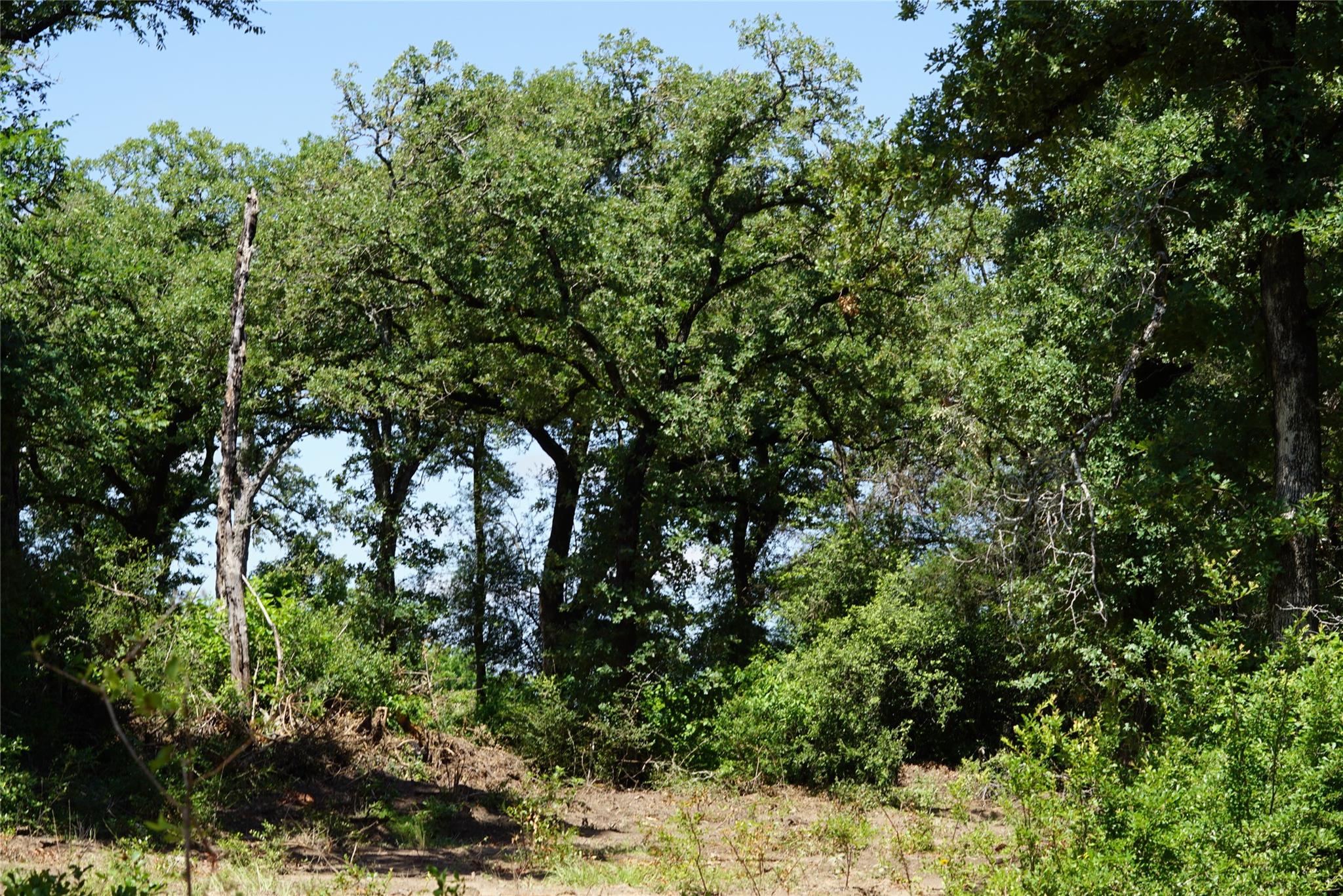 5548 CR 322, Rockdale, TX 76567