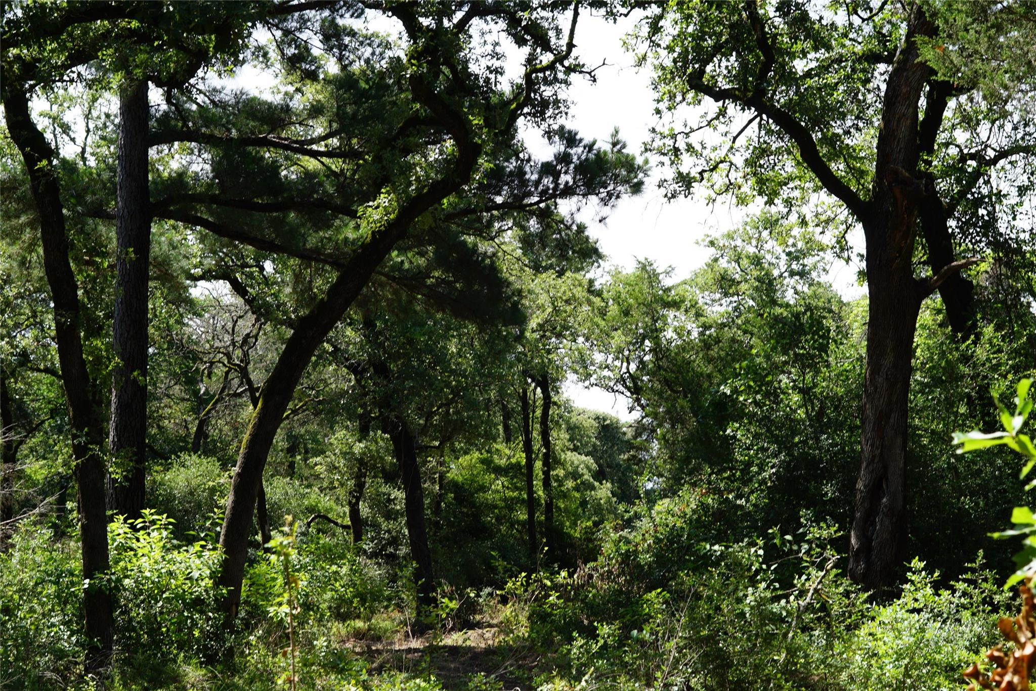 5548 CR 322, Rockdale, TX 76567