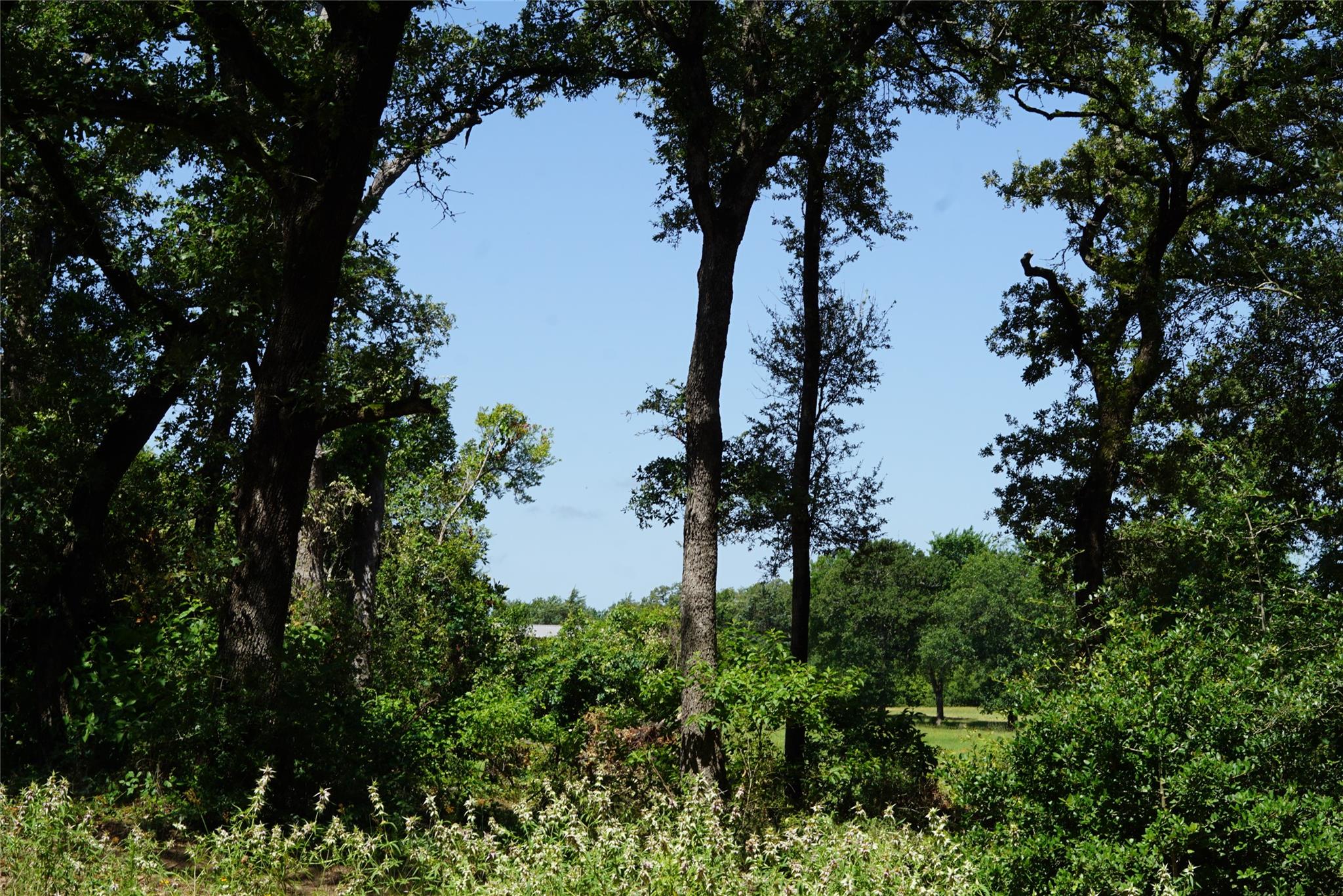 5548 CR 322, Rockdale, TX 76567