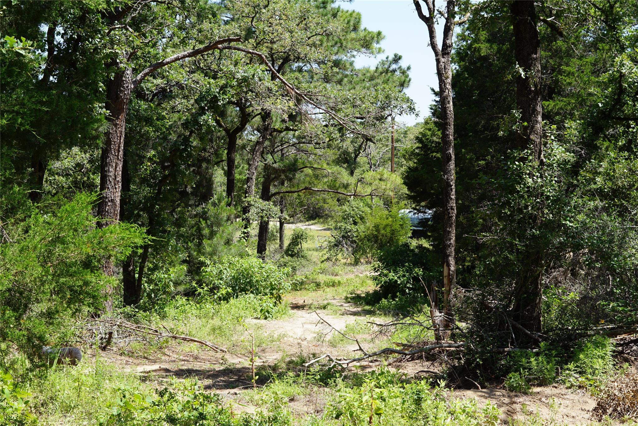 5548 CR 322, Rockdale, TX 76567