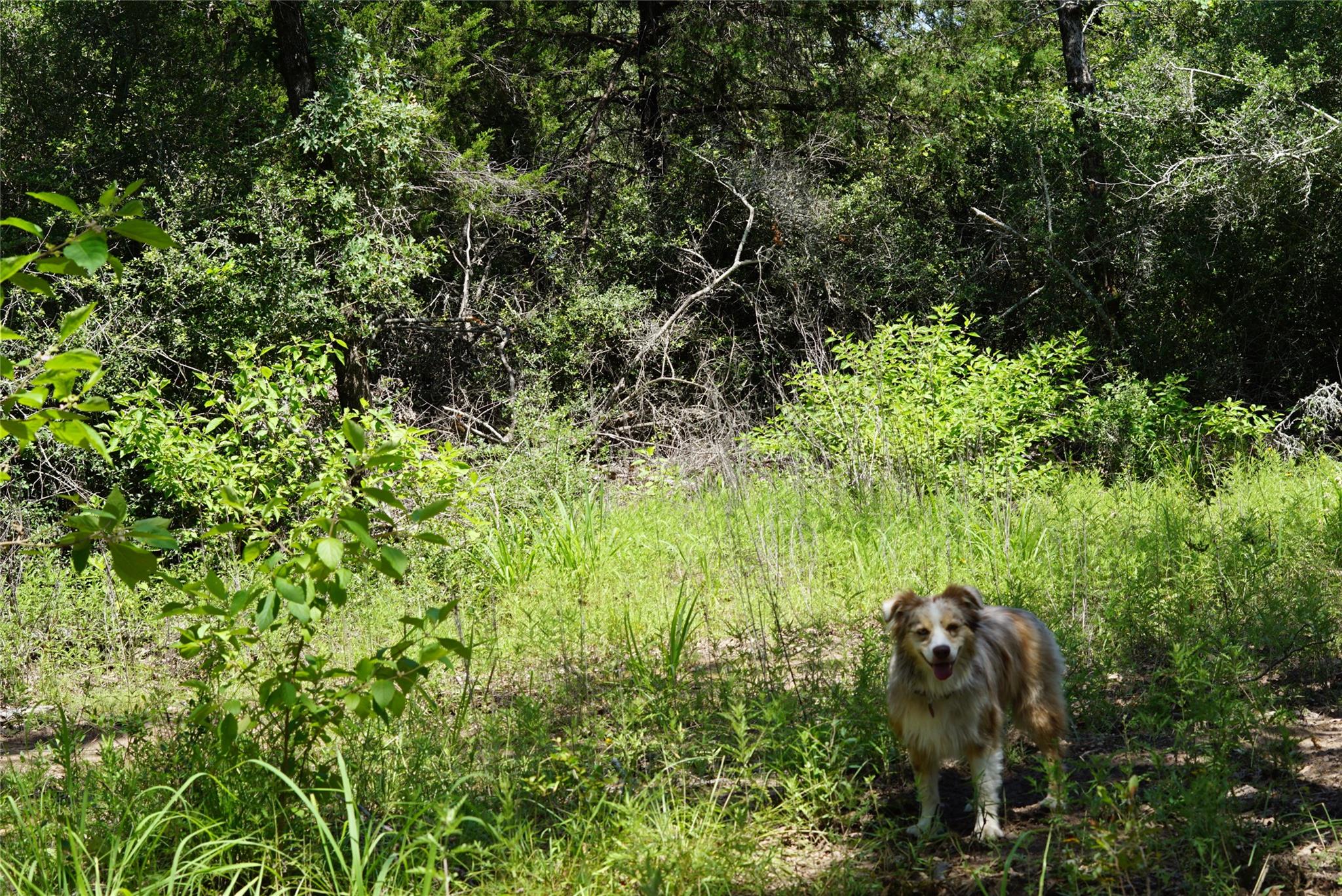 5548 CR 322, Rockdale, TX 76567