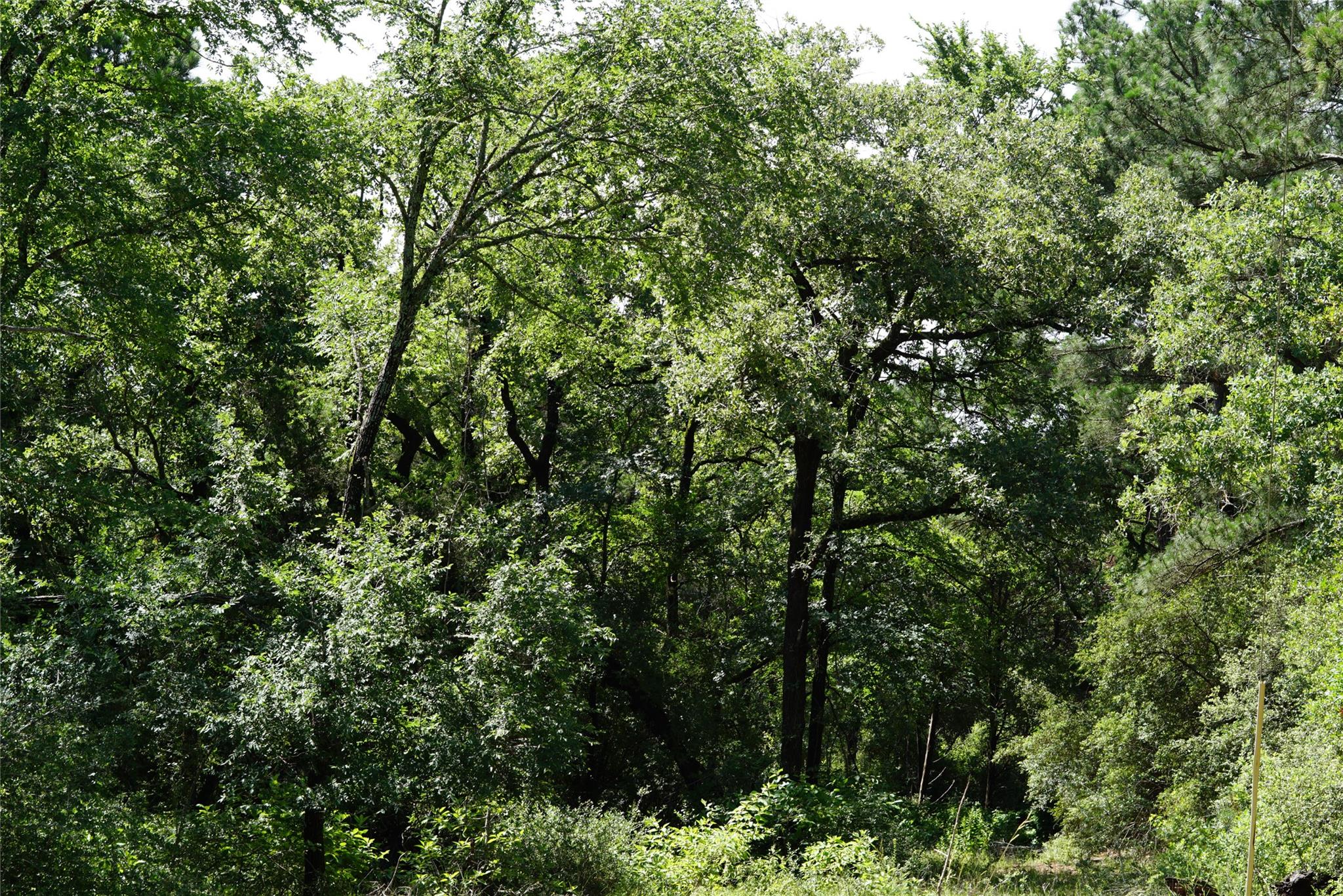 5548 CR 322, Rockdale, TX 76567