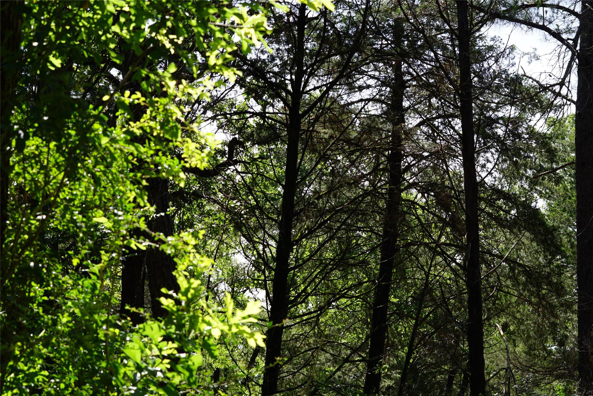 5548 CR 322, Rockdale, TX 76567