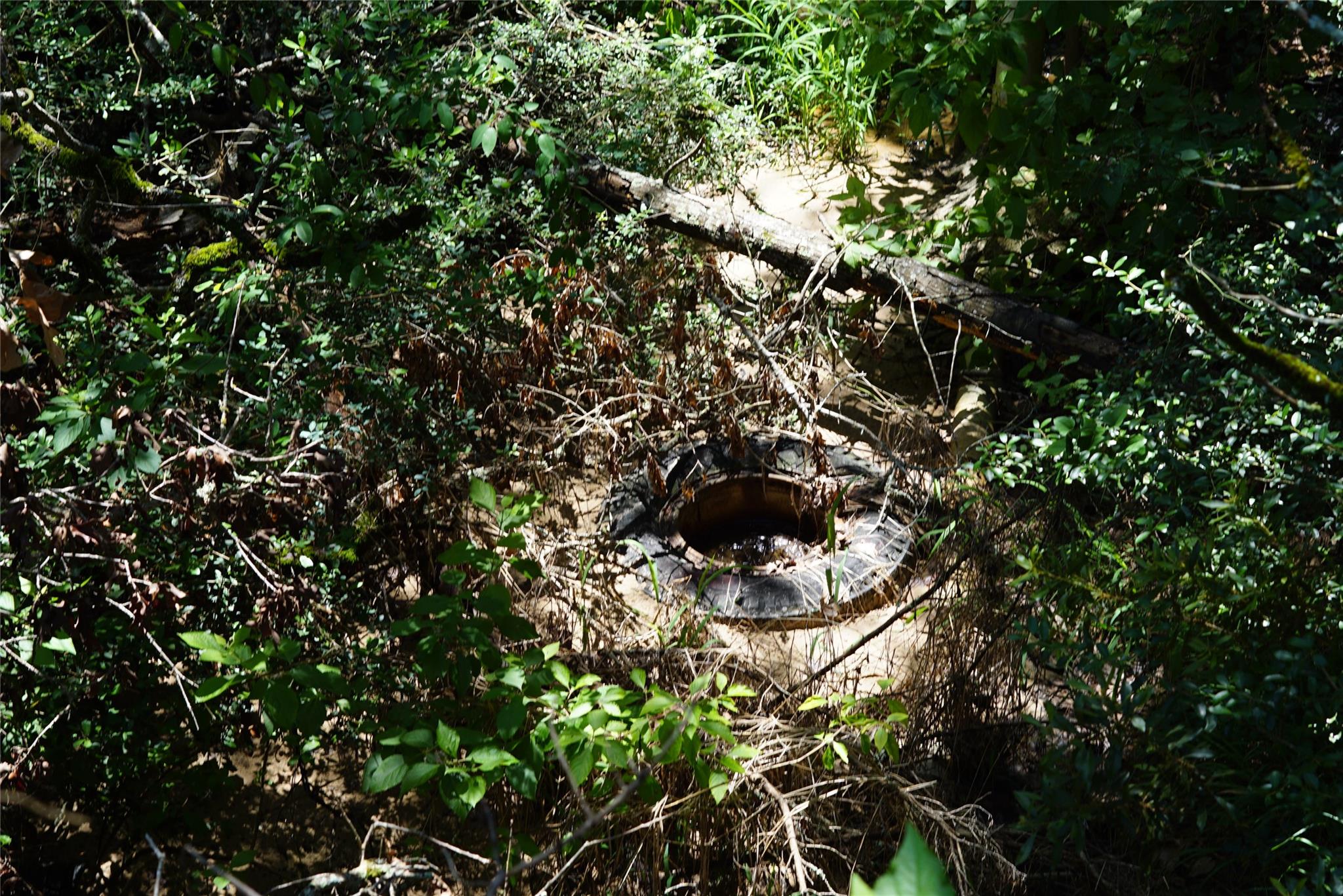 5548 CR 322, Rockdale, TX 76567