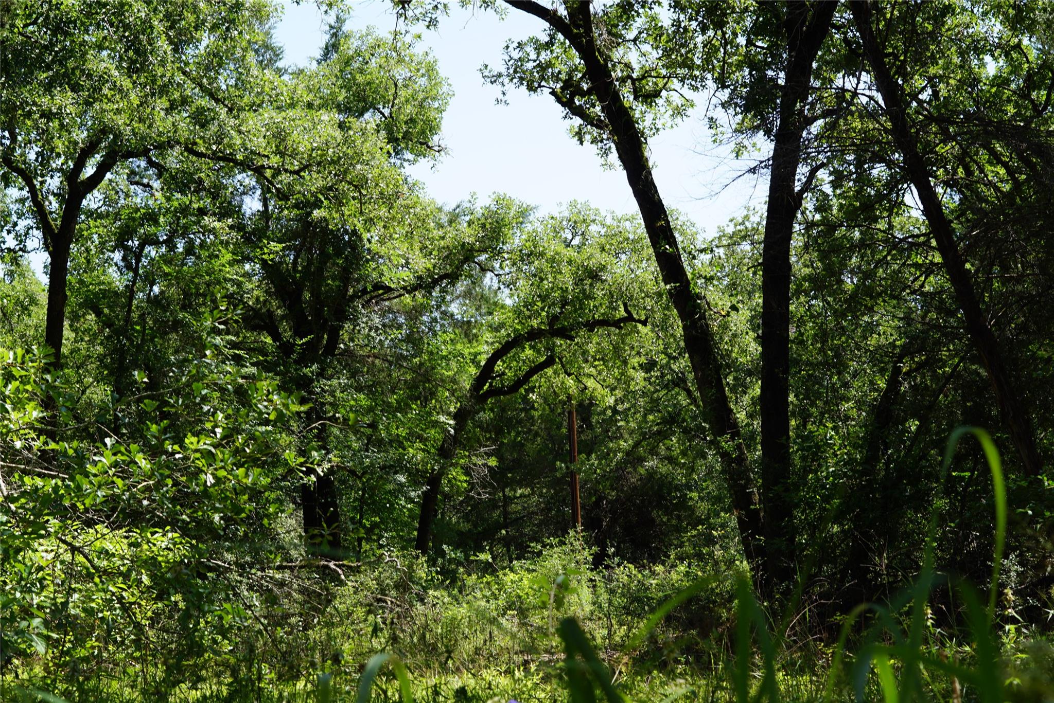 5548 CR 322, Rockdale, TX 76567