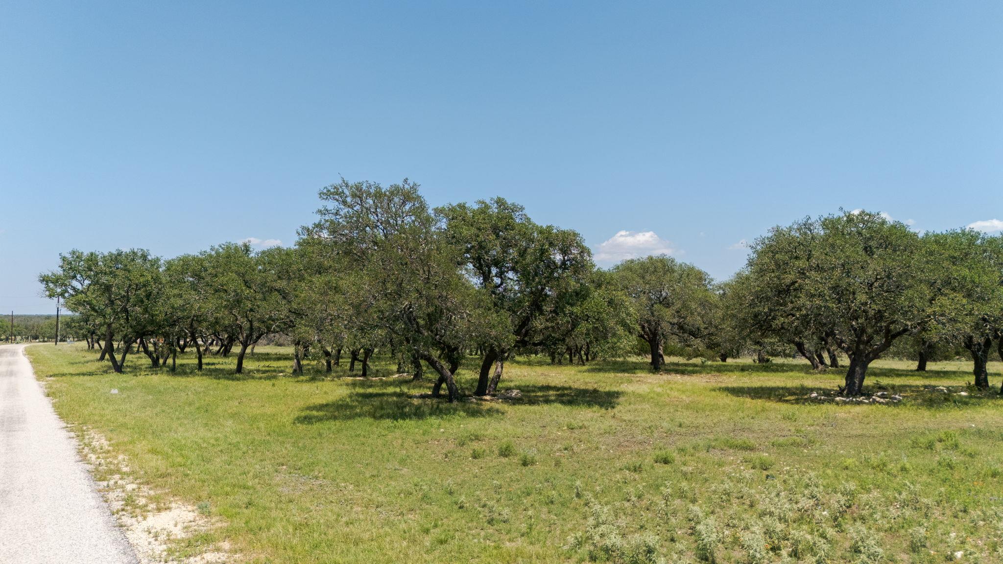 Lot 125 Red Stag Ct, Lampasas, TX 76550