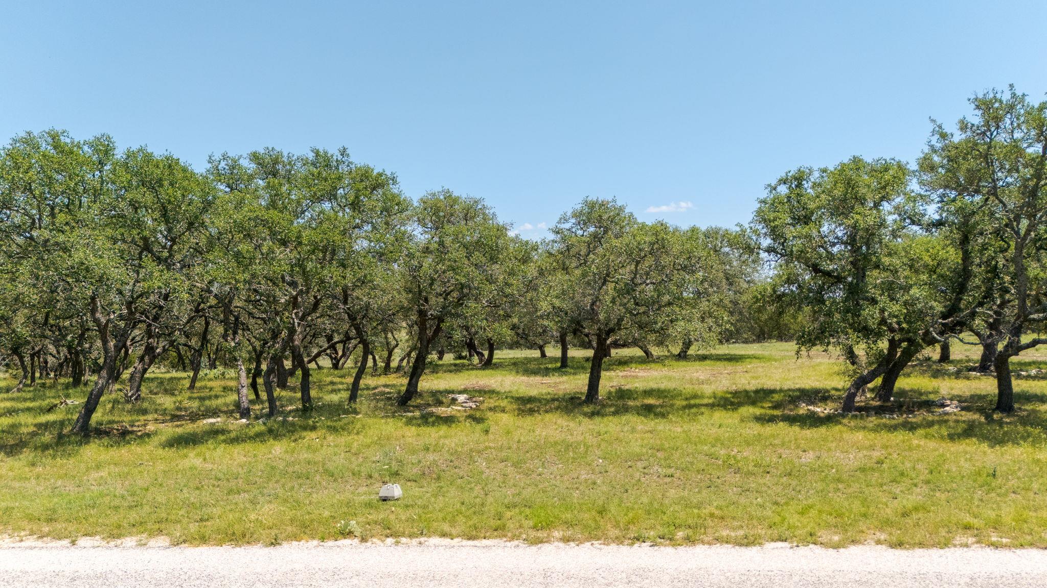 Lot 125 Red Stag Ct, Lampasas, TX 76550