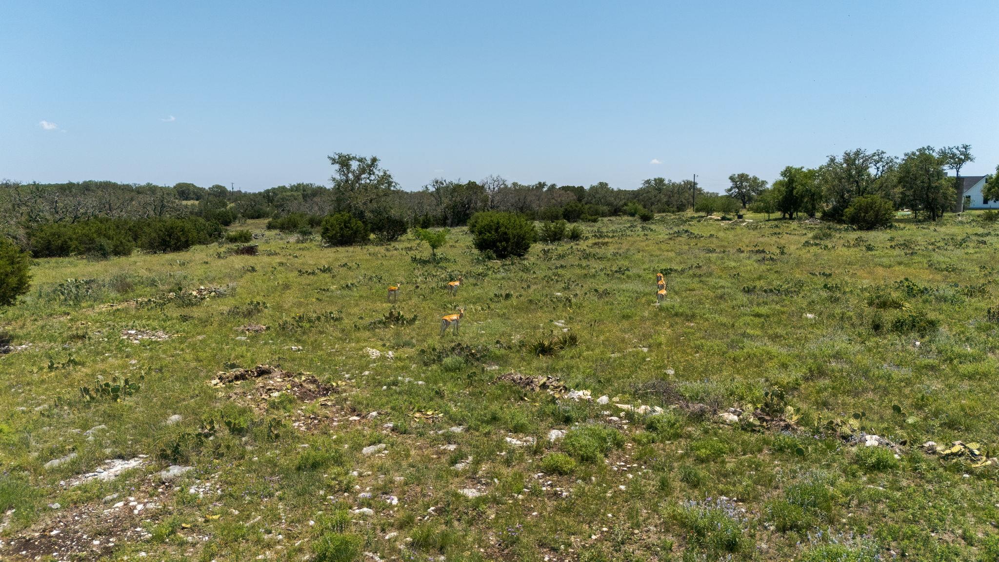 Lot 125 Red Stag Ct, Lampasas, TX 76550