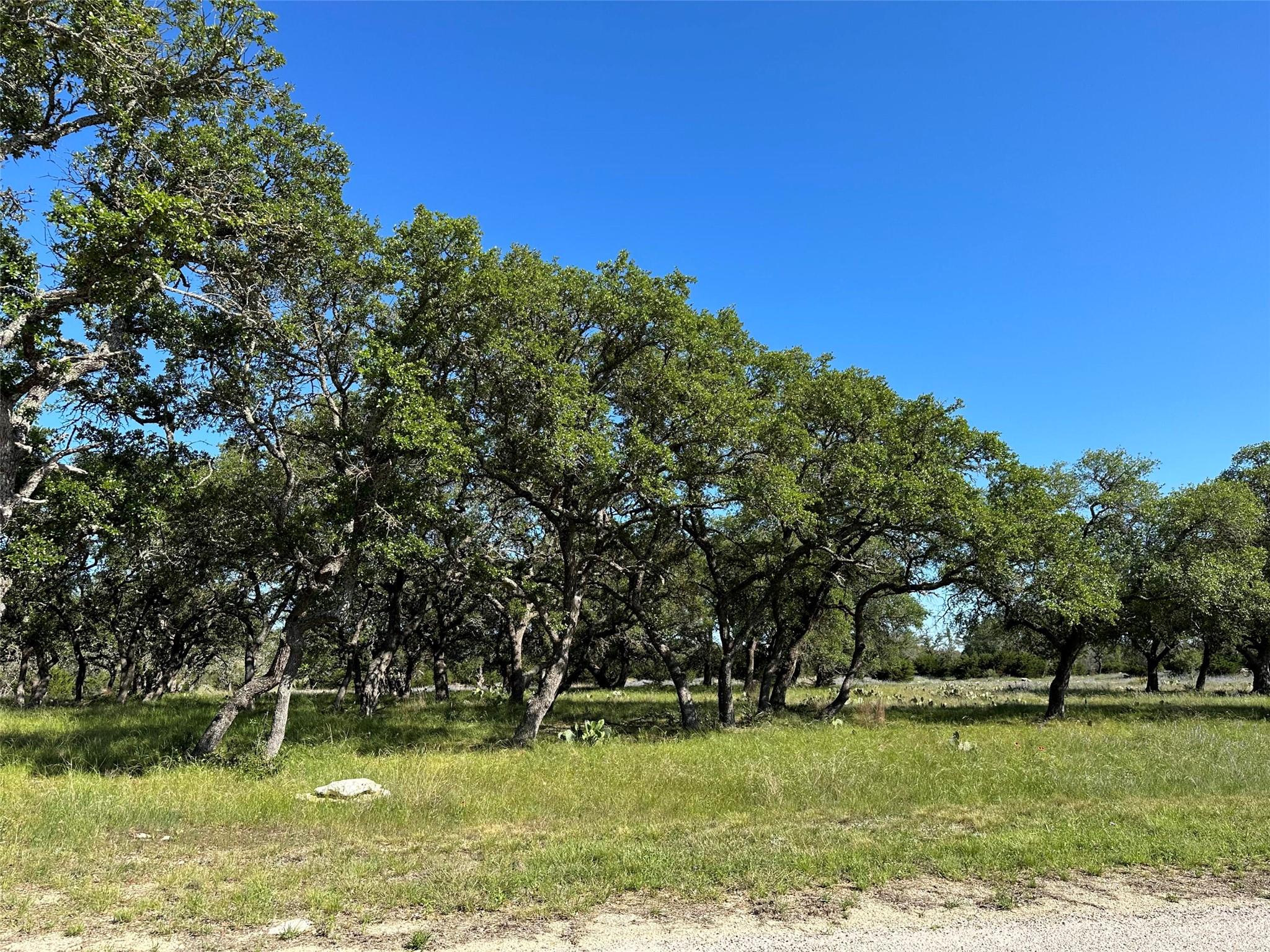 Lot 125 Red Stag Ct, Lampasas, TX 76550
