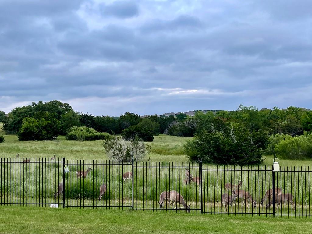 1581 Grassy Field Rd, Austin, TX 78737