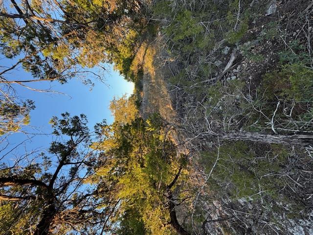 6802 Cedar Ridge Cir, Lago Vista, TX 78645