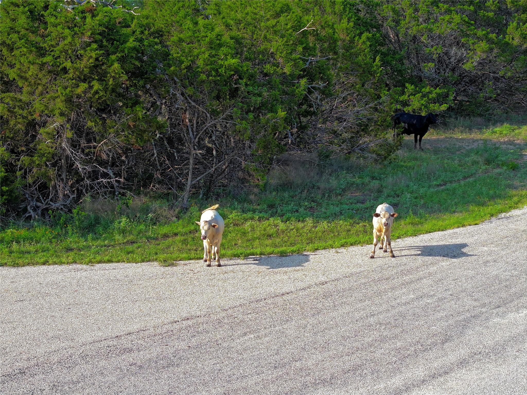 Lot 34 Starfall Dr, Lampasas, TX 76550