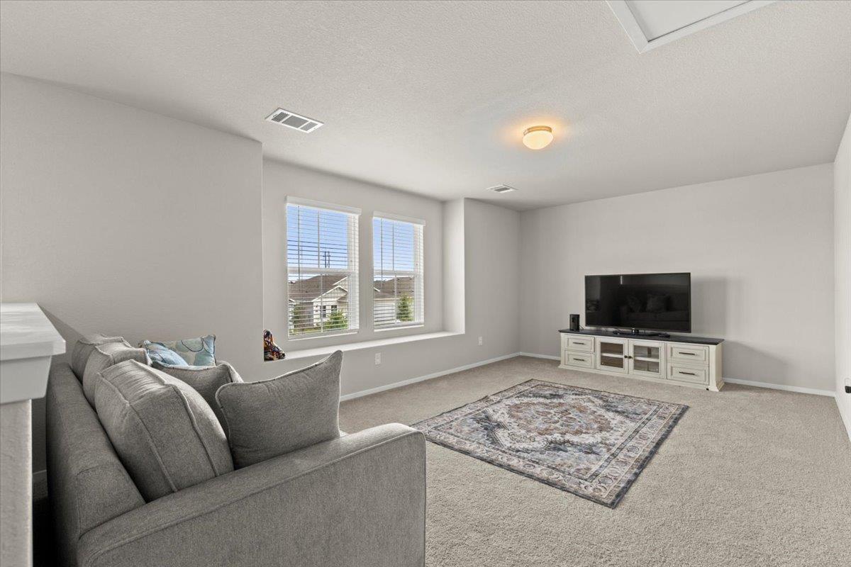 1296 Teychas Dr, Kyle, TX 78640