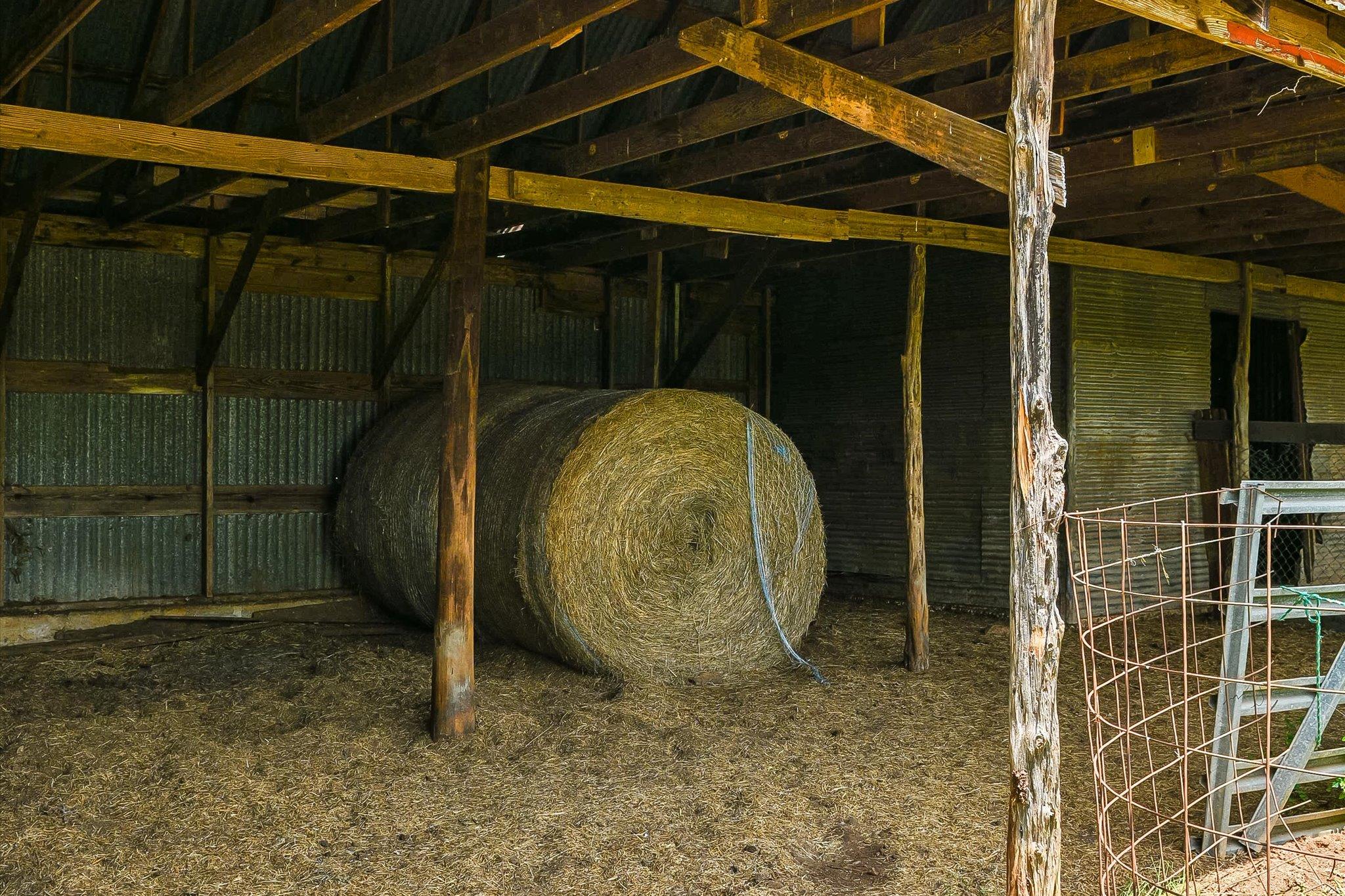 1750 Craddock Ave, San Marcos, TX 78666