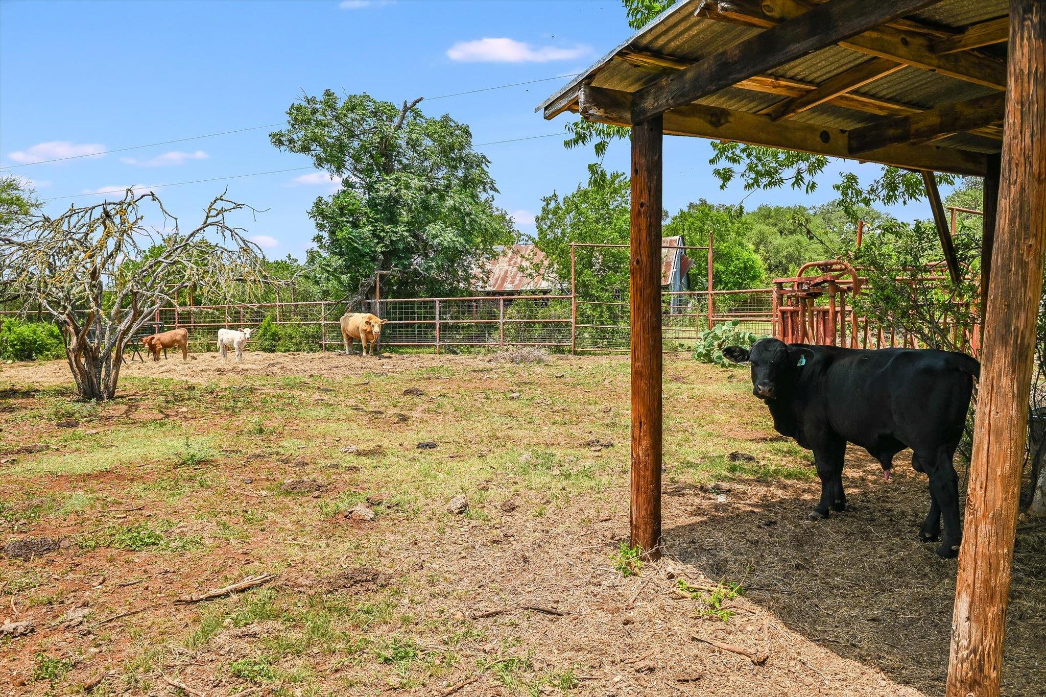 1750 Craddock Ave, San Marcos, TX 78666