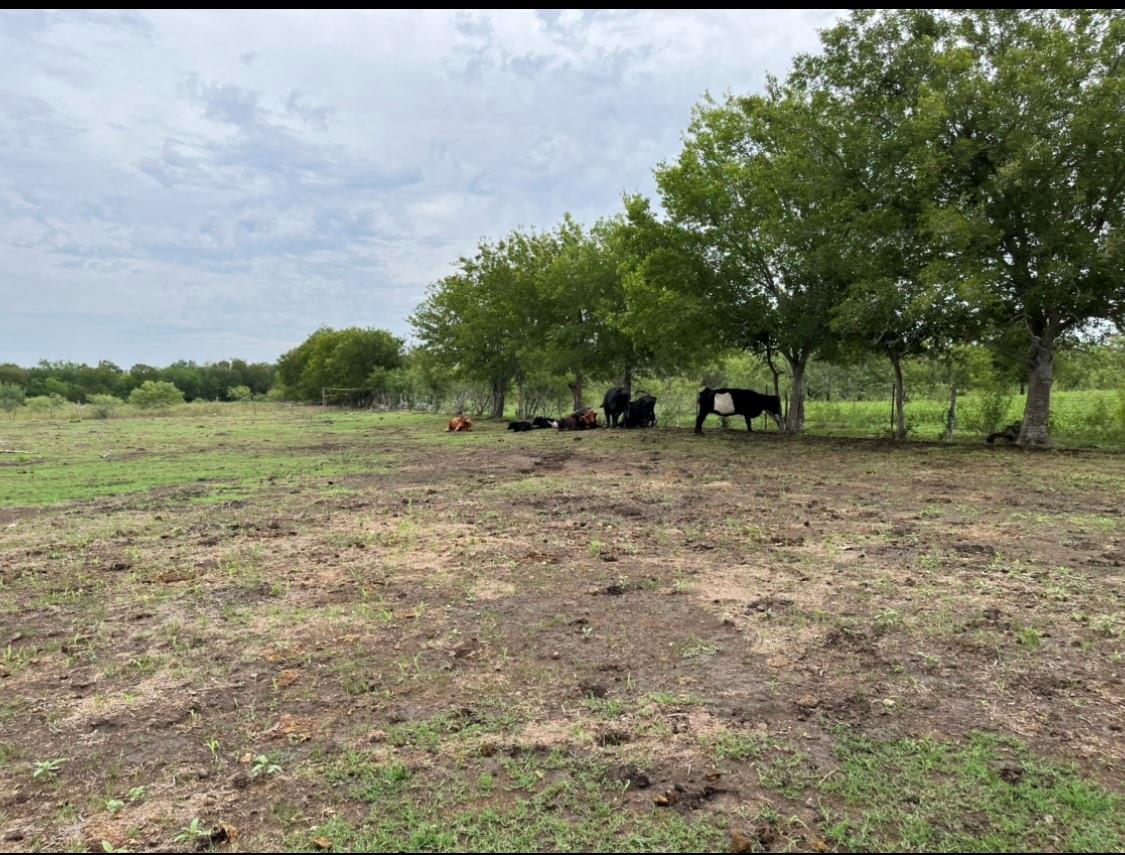 1976 Old Kelley Rd, Lockhart, TX 78644