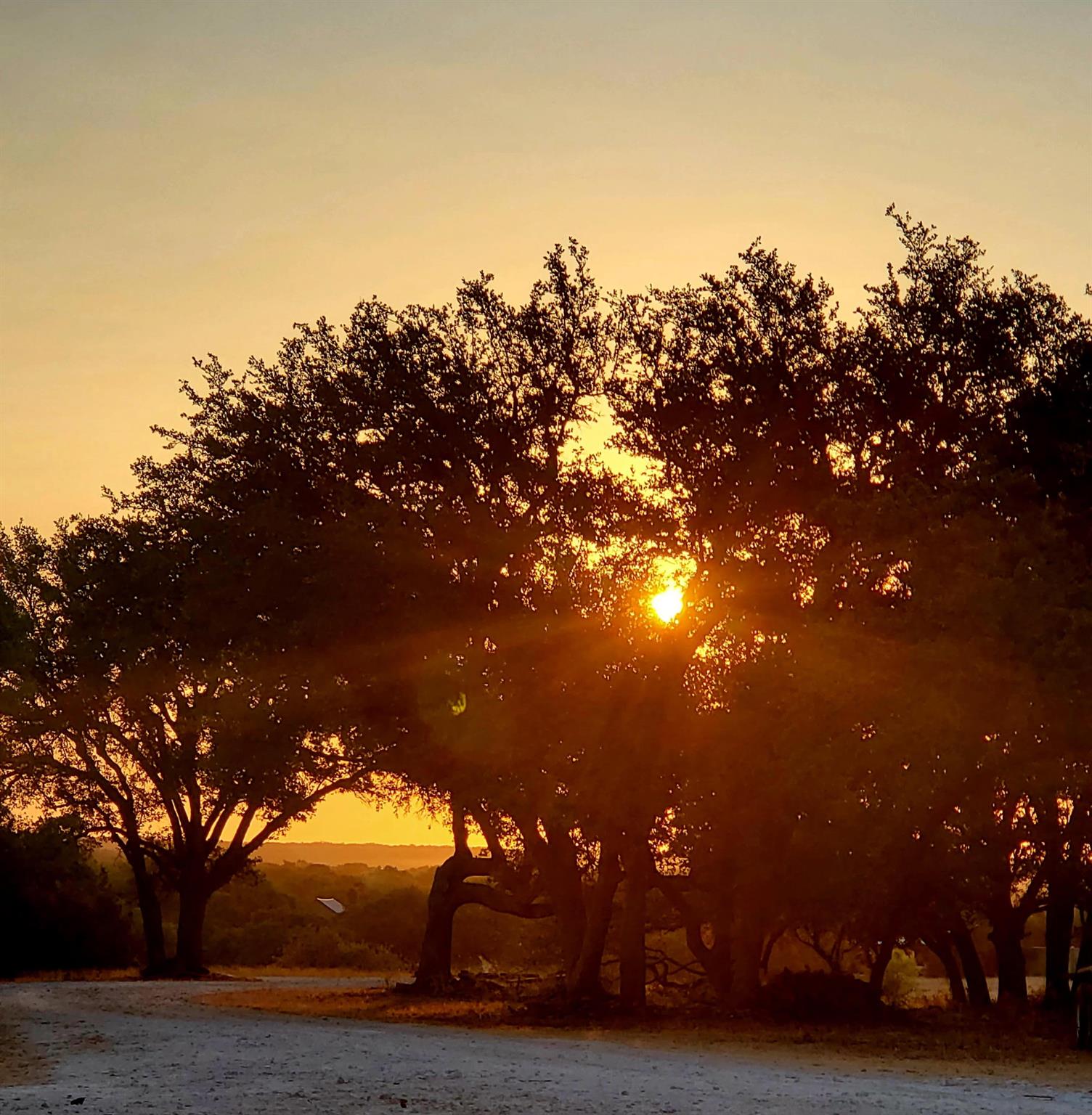 1201 County Road 229, Florence, TX 76527