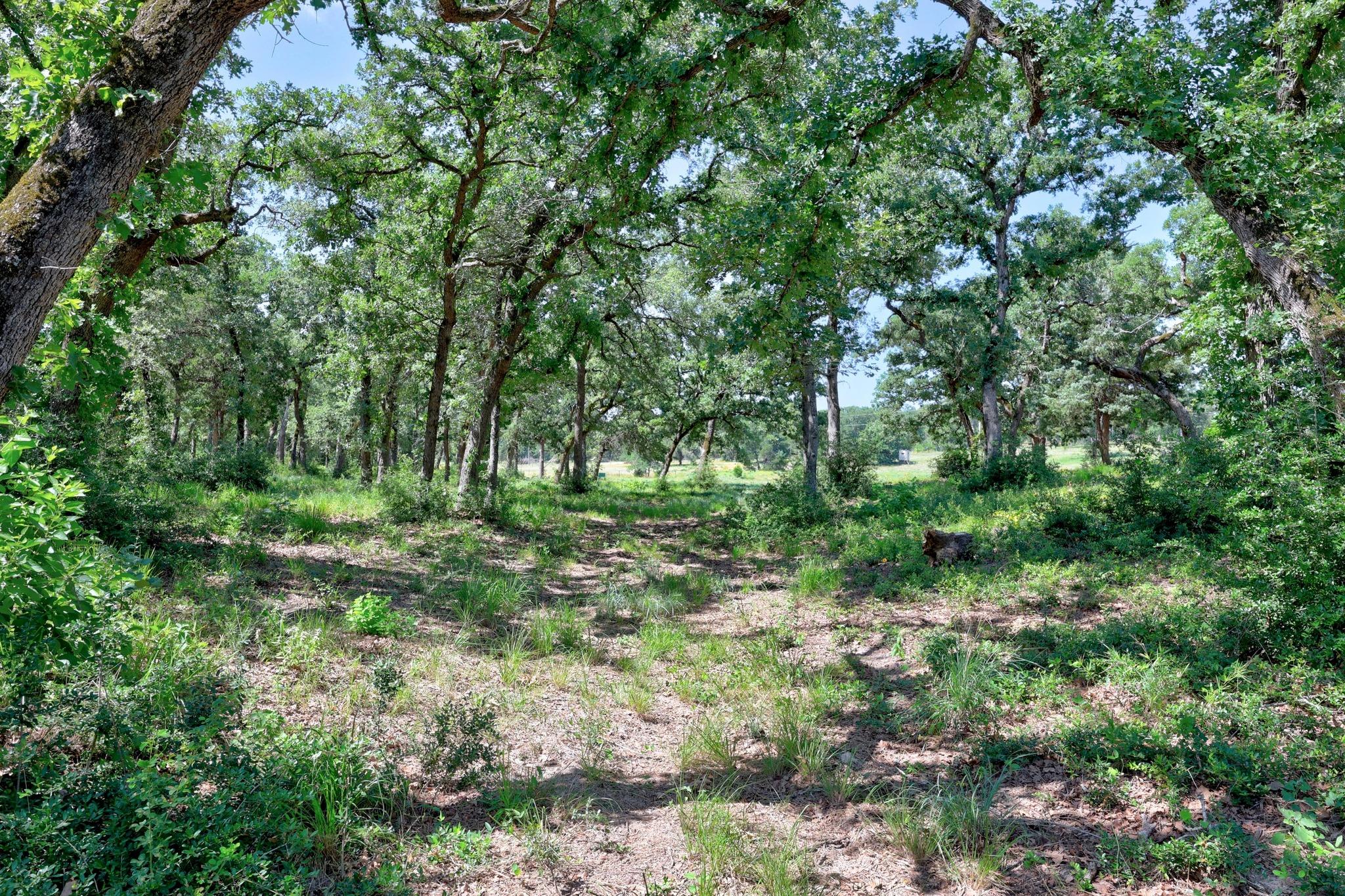 200 Cumley Ln, Thorndale, TX 76577