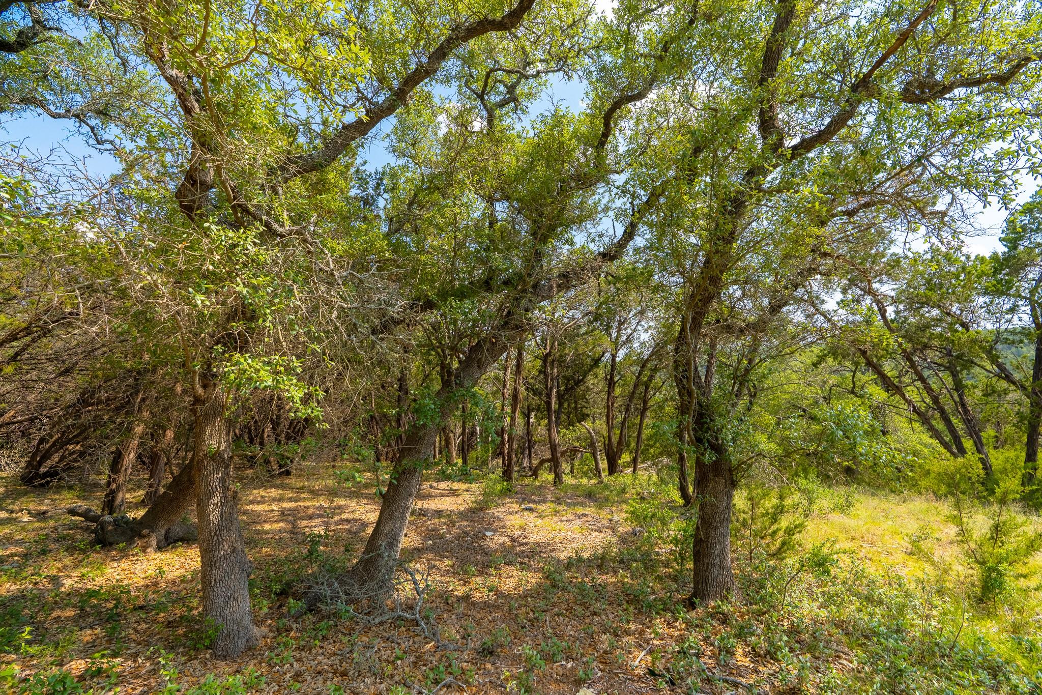 2934 Elm Terrace Ln, Wimberley, TX 78676