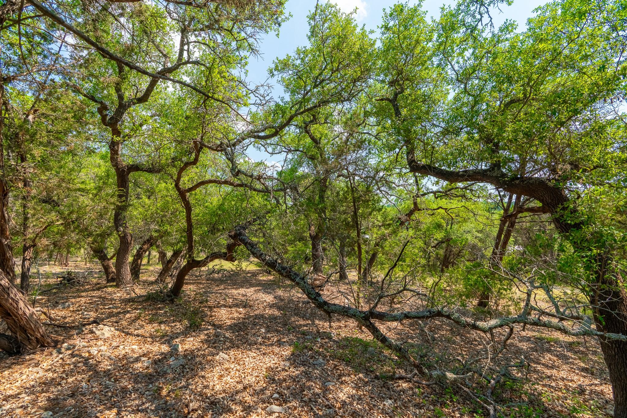 2934 Elm Terrace Ln, Wimberley, TX 78676