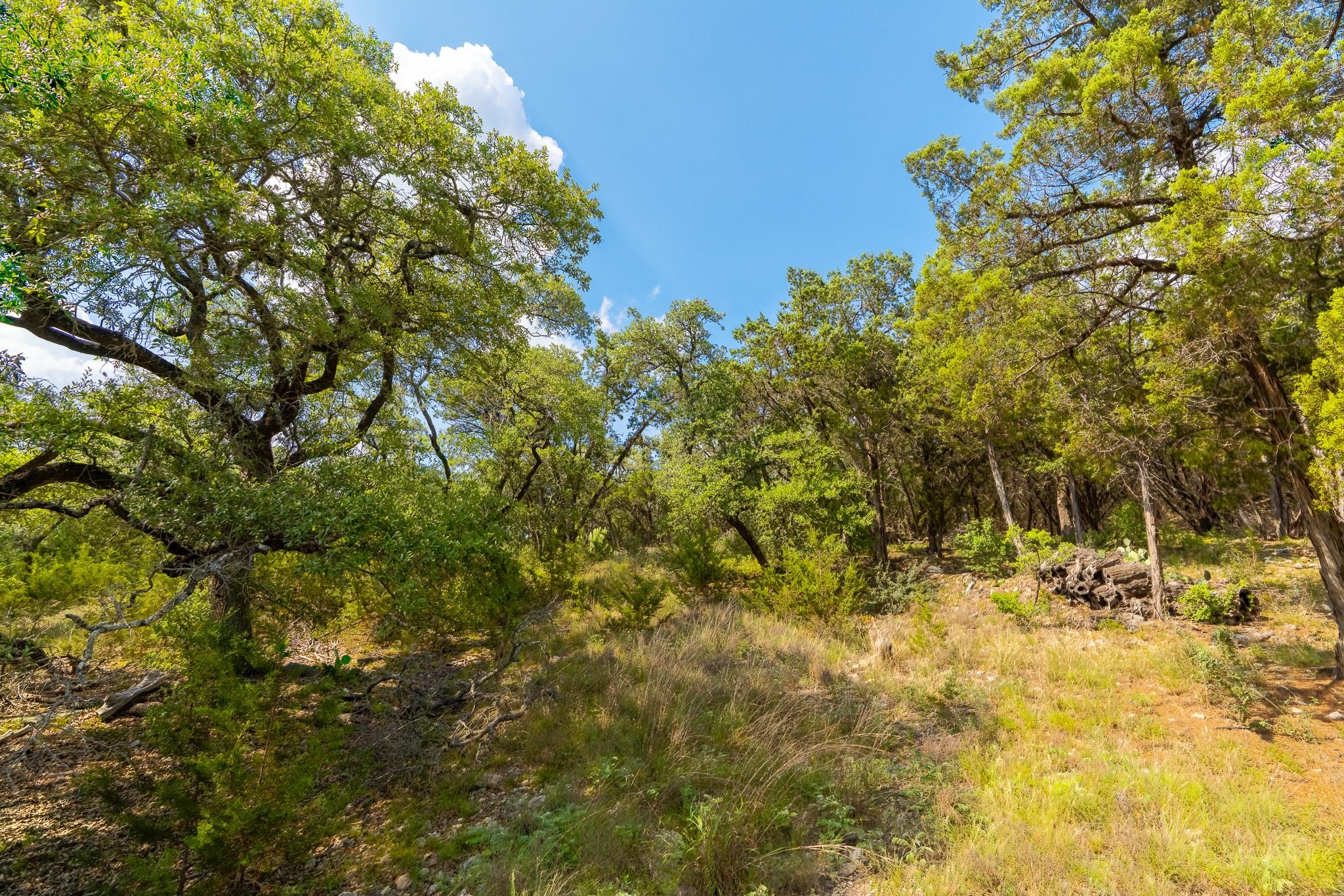 2934 Elm Terrace Ln, Wimberley, TX 78676