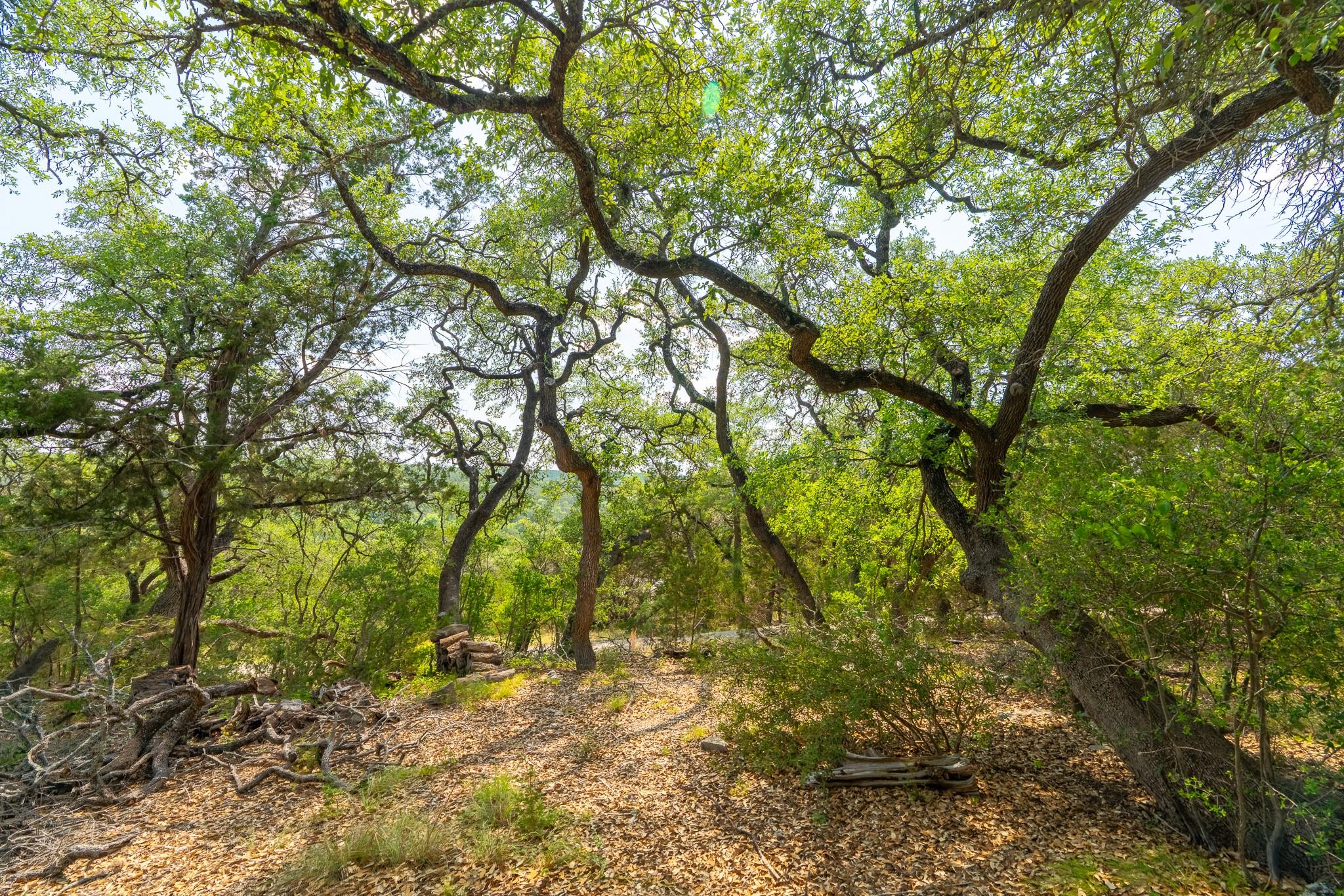 2934 Elm Terrace Ln, Wimberley, TX 78676