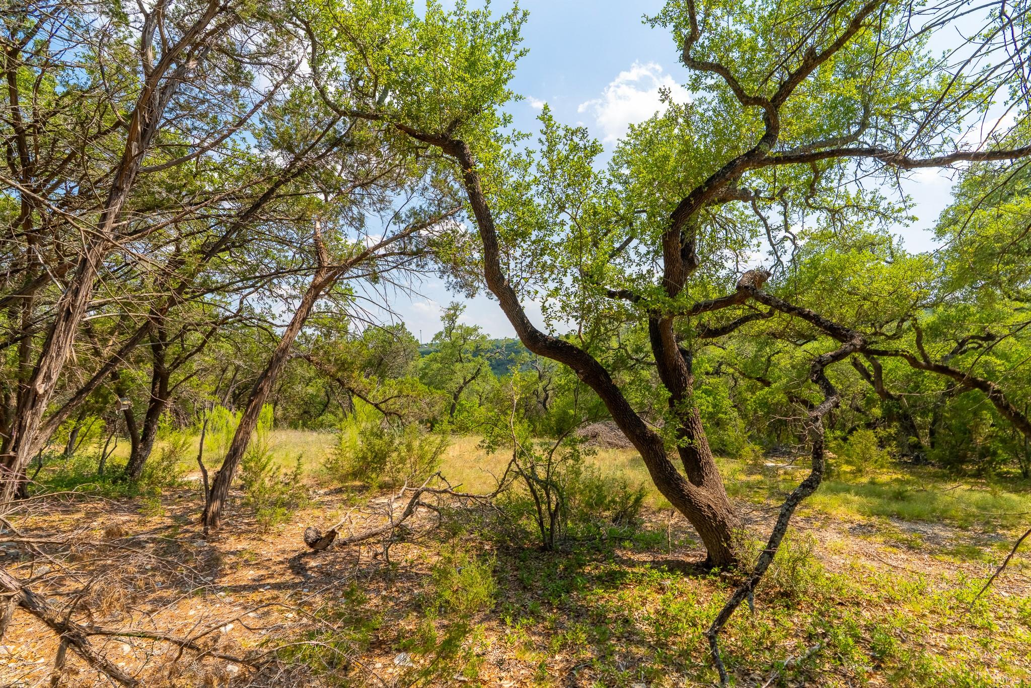 2934 Elm Terrace Ln, Wimberley, TX 78676